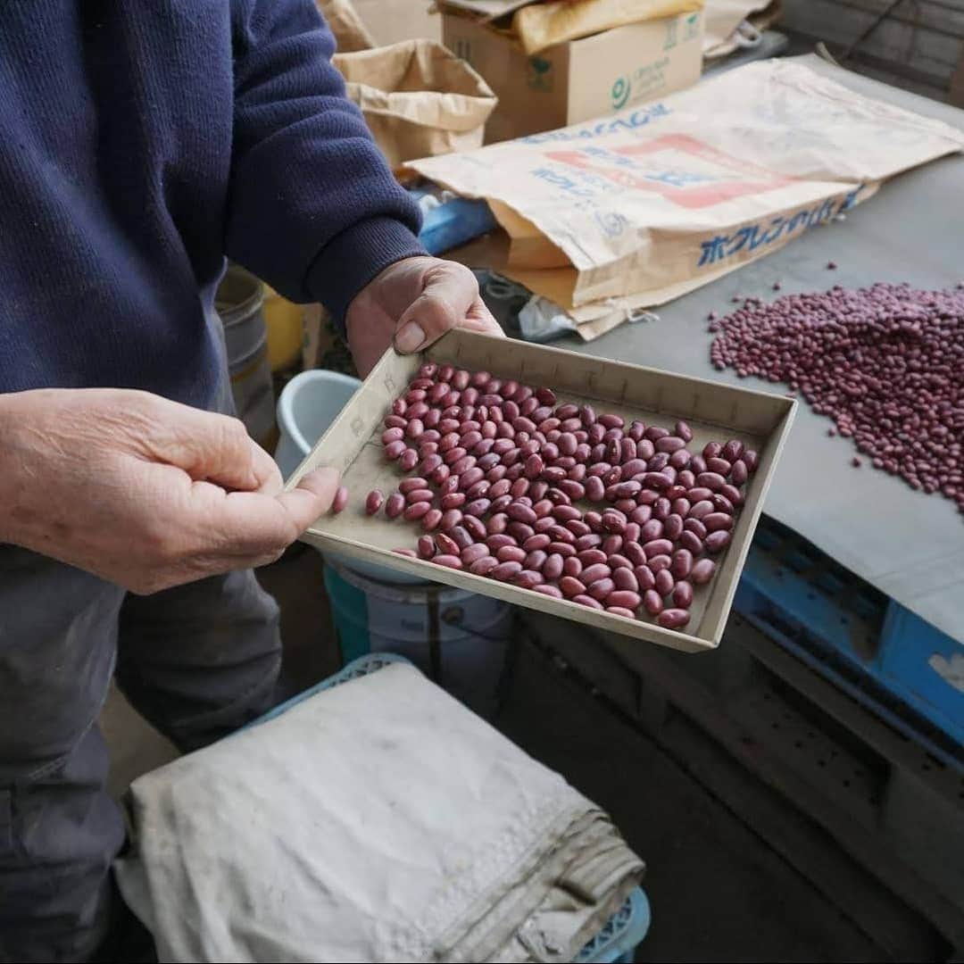 かわしま屋さんのインスタグラム写真 - (かわしま屋Instagram)「北海道幕別町で大豆や小豆を栽培している平わけさんを訪ねました。  長く愛される平わけさんの大豆と小豆。今年はどんな具合に育ってくれているのか覗いてきました。今年の新豆は10月下旬〜11月に入荷予定です☺️  新豆楽しみです😄  #平わけ#ひらわけさんの豆 #平譯さんの畑から #大豆#小豆#幕別町 #かわしま屋 #かわしま屋の読み物 #自然栽培 #自然栽培野菜」11月3日 17時16分 - kawashima_ya