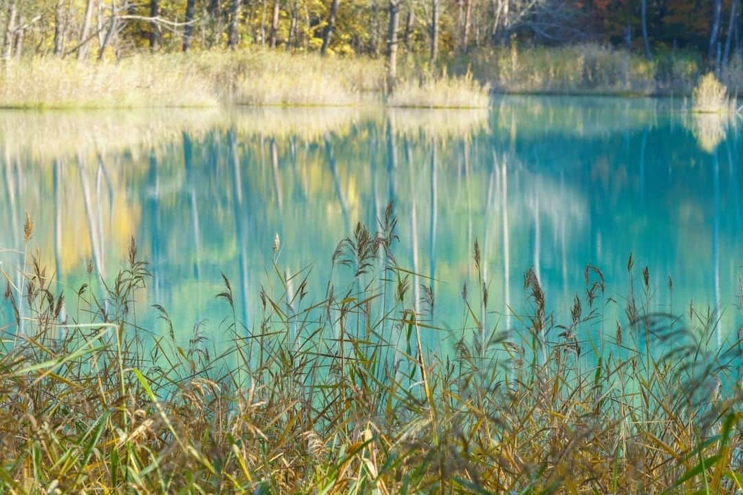 福島県のインスタグラム