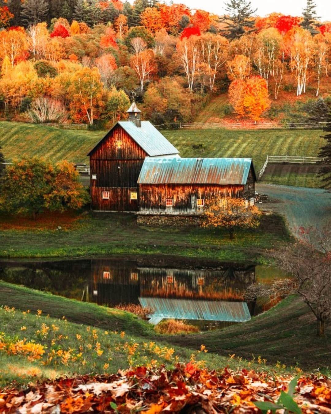 ロンドンフォグのインスタグラム：「Taking in the picturesque Autumn foliage of Vermont! #traveltuesday 🍂」