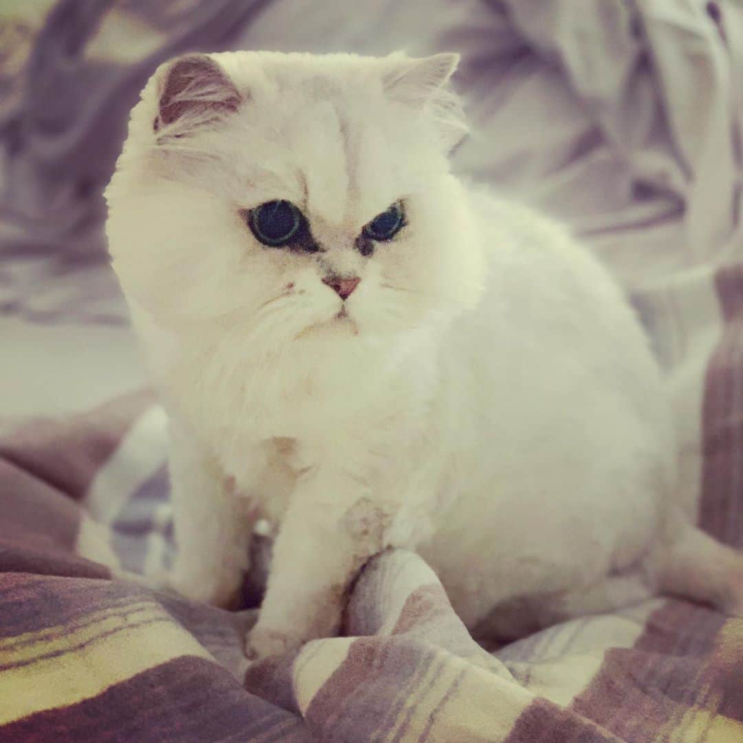 峰なゆかのインスタグラム