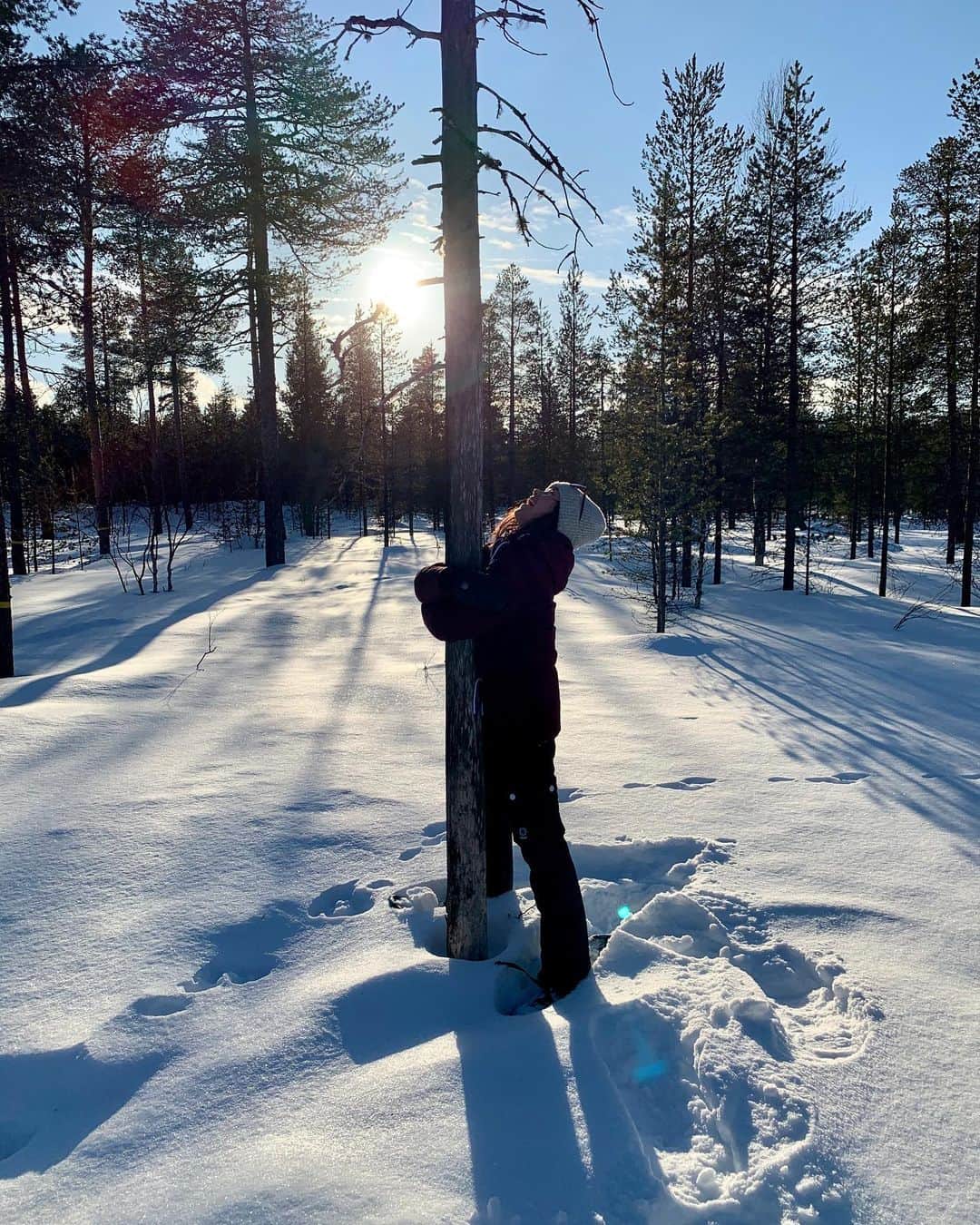 ラウラ・レピストのインスタグラム：「Aika kova kaipuu jo Lappiin lumiseen luontoon!💙❄️// Yhteistyössä @auroravillage_ivalo sydämellisten yrittäjien Suvin ja Juhan kanssa. . Me tässä mietitään talvireissu(j)a Lappiin. Lumista luontoa, hiihtoa, avantouintia, ehkä etätöitä tai jopa vähän lomaakin. Lähtisitkö säkin myös? Tuetaan omien mahdollisuuksiemme mukaan yhdessä suomalaisia yrittäjiä, jotka kipuilevat kun turistit eivät pääse normaaliin tapaan tänne.😔 . Aurora Village on aaivan ihastuttava paikka, jossa on nyt vielä tämän vuoden loppuun saakka ihan mielettömän hyvä tarjous:  1 yö - 190€ yöpyminen kahdelle 3 yötä - 570€ yöpyminen kahdelle 31.12.2020 saakka. Majoitus sisältää aamiaisen ja päivällisen. . Meiltä @tommihuovinen kanssa niin lämmin suositus! Sydämellinen tunnelma ja vastaanotto, ihanat yksityiset lasikattomökit, paljon tekemistä luonnossa, tosi laadukas paikallista ruokaa tarjoileva ravintola, ja esim. mielettömille Saariselän hiihtoladuille hurauttaa puolessa tunnissa jos haluaa yhdistää reissun vaikka siihen. Mun profiilin highlightseista näet lisää miltä upeassa Ivalossa oikein näyttää😍💙❄️ . Majoitus saatu yhteistyössä. #auroravillage #tarjous #kampanja #lappi #lapland #finnishlapland #revontulet #northernlights #auroraborealis #reindeer #snow #winter #nature #skiing #visitfinland #ourfinland #visitlapland #visitfinnishlapland」