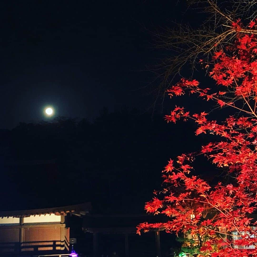 大隅智子さんのインスタグラム写真 - (大隅智子Instagram)「奥州市のえさし藤原の郷では、紅葉のライトアップが開催されています。 今、見頃です。 奥州藤原氏ゆかりの建物や庭園での紅葉は、幻想的でした。 満月と紅葉を見ることができました。 池に映る紅葉は鏡のようでした。 #岩手 #奥州 #えさし藤原の郷 #紅葉　 #ライトアップ #満月　 #もみじ」11月3日 19時22分 - tomokotenki