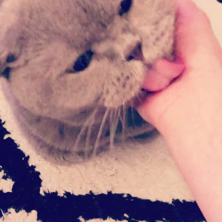 阪井あゆみのインスタグラム