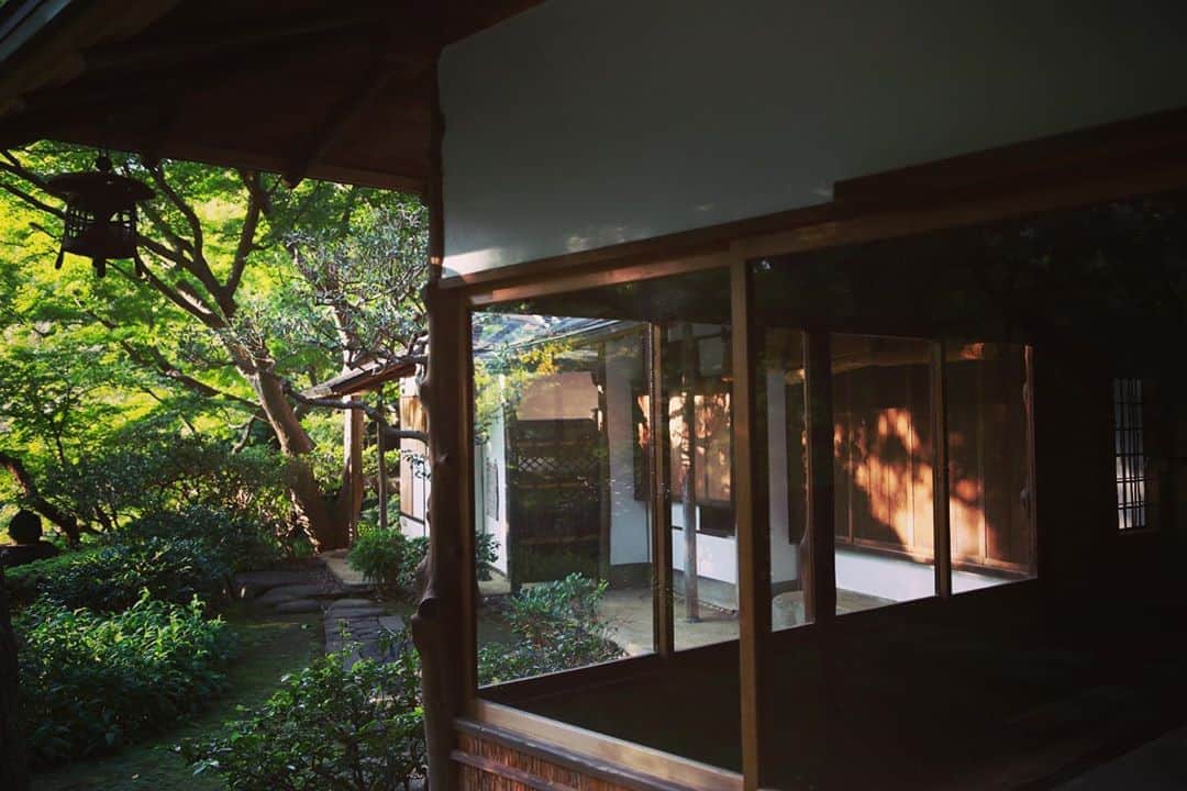 八芳園さんのインスタグラム写真 - (八芳園Instagram)「八芳園の日本庭園には 当時の面影が残るように移築された「夢庵」、 「霞峰庵」の茶室がございます。 . 歴史的な建物は庭の景色とバランスよく調和して、 四季折々の美しい庭園をかたちづくっています。 . . ところ変わって、 英国のお茶といえば「アフタヌーンティー」。 . 八芳園内レストランThrush Caféでは 明日11月4日(水)よりアフタヌーンティーの提供を スタートいたします。 . 紅茶とともに、お菓子や軽食を愉しむ 英国の「Afternoon Tea」という習慣。 . おいしい紅茶を味わいながら、 ゆっくりと団欒を楽しむ文化です。 . 今回Thrush Caféでは 八芳園ペストリーのオリジナルスイーツはもちろんのこと、 ベーカリーBLUE TREEのクロワッサンや オリジナルパン、スコーンもご用意しております。 . お飲み物は、 香り高くスイーツともあうkikiの台湾烏龍茶４種と、 ミカフェート監修の八芳園オリジナルブレンドのコーヒーを お愉しみくださいませ。 秋が深まりだんだんと色づく庭園を眺めながら、 優雅なティータイムを、 Thrush Caféにてお過ごしください。 . ■Thrush Café アフタヌーンティー 【提供時間】平日限定 14:00〜16:00 【料金】4,000円(税・サービス料込み) ※要予約となります . @thrush_cafe  . . #八芳園 #スラッシュカフェ #thrushcafe  . #アフタヌーンティー #アフタヌーンティー巡り  #アフタヌーンティーセット  #afternoontea  . #東京カフェ  #東京カフェ巡り  #東京カフェ部 #カフェ好きな人と繋がりたい  #カフェ好きさんと繋がりたい  #カフェスタグラム . #日本庭園 #自然 #紅葉 #紅葉スポット . #茶室  #東京観光  #東京カメラ部  #写真好きな人と繋がりたい  #カメラ好きな人と繋がりたい  #その瞬間に物語を  . #和装結婚式 #式場探し #プレ花嫁さんと繋がりたい . #japan #japanesegarden  #tokyotrip  #photostagram」11月3日 19時40分 - happoen