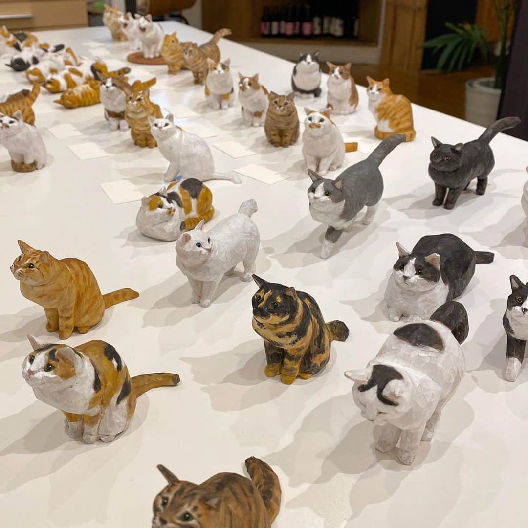 yamanekoのインスタグラム：「今年もジャローナ猫の集会が始まりました。初日から沢山のご来場ありがとうございました。入場の制限がありましたので何かとご迷惑をお掛けしました。 これは展示待ちの猫たちが、おやつを待っている様子。 @mequemeque めけすけ姐さん！今年もお花ありがとうございます！😭😭😭精進します！  #赤坂ジャローナ #ジャローナ#ねこ #ねこすたぐらむ #ねこ部 #木彫り猫#彫刻 #個展#バンナイリョウジ#sculpture #cat #catstagram #catsofinstagram #catsculpture #woodsculpture #woodworking #ryojibannai」