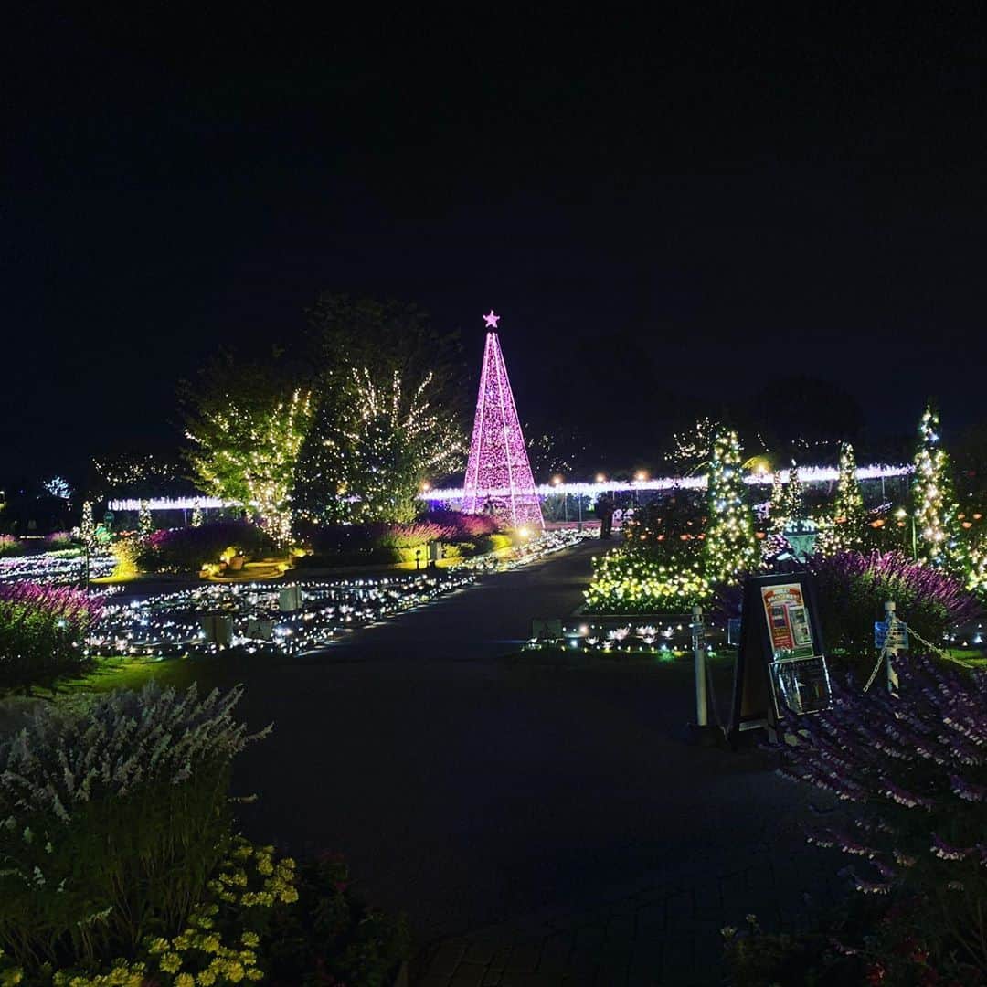 naoさんのインスタグラム写真 - (naoInstagram)「あしかがフラワーパーク  光の花の庭  光の祭典。  想像していた以上に綺麗で素敵でした。  藤棚の電球が凄かったなー⭐︎」11月3日 20時01分 - naohirosugawara