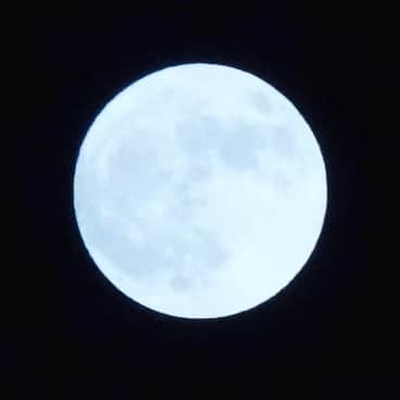 藤田琢己さんのインスタグラム写真 - (藤田琢己Instagram)「月が綺麗でしたね」11月3日 20時01分 - takumifujita1
