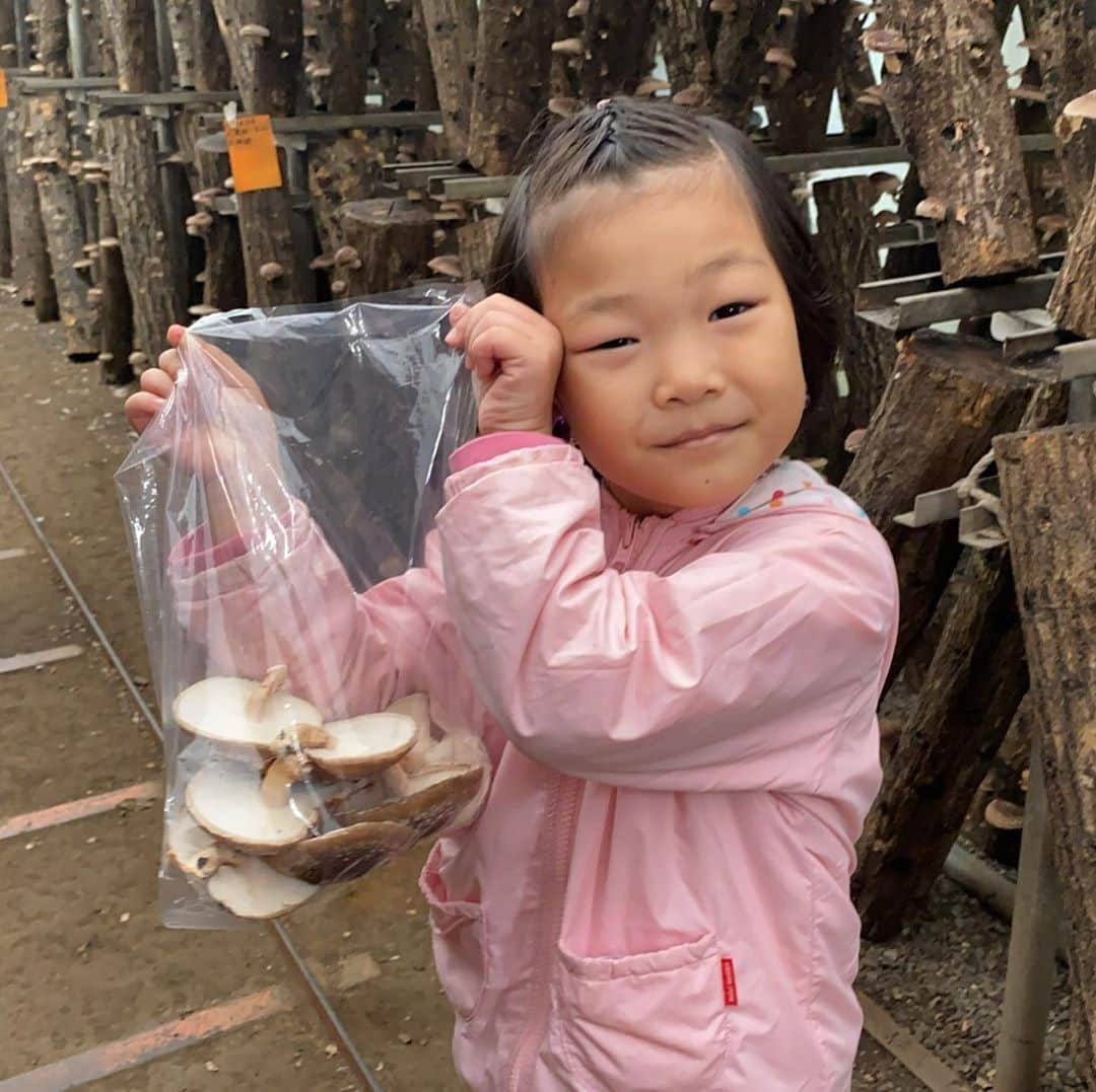 せんももあいしーさんのインスタグラム写真 - (せんももあいしーInstagram)「今日は小松沢農園というところでイモ掘り🍠、ぶどう狩り🍇、きのこ狩り🍄などをしました。楽しかったです！😁」11月3日 20時13分 - oyabakatousan