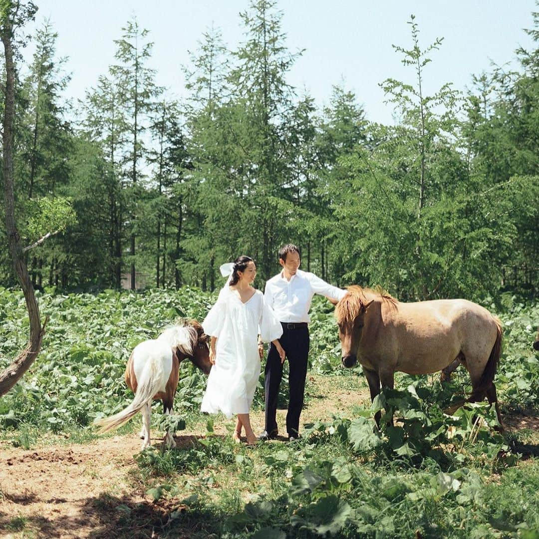 ARCH DAYS Weddingsさんのインスタグラム写真 - (ARCH DAYS WeddingsInstagram)「【今日のアルバム】INITIMATE OUTDOORS﻿ ﻿ 北海道の美しい大地で行われた、少人数制のアウトドアウェディング。﻿ ﻿ 場に調和するようナチュラルな素材の椅子やテーブルを使い、自然を感じられる、開放的でリラックスした空間。﻿ ﻿ サステイナブルな素材を使って、地球環境にも優しいパーティーに。﻿ ﻿ ﻿ _ _ _ _ _ _ _ _ _ _ _ _ _ _ _ _ _ _﻿ ﻿ ﻿ Planner: @landress_wedding﻿ Photo by @keitainaba.jp﻿ ﻿ _ _ _ _ _ _ _ _ _ _ _ _ _ _ _ _ _ _﻿ ﻿ ﻿ ﻿ ▽記事に飛ぶには﻿ ストーリーズからリンクをチェック﻿ ﻿ ﻿ -----﻿ ﻿ ﻿ DIYコラムのモデルになってくれる花嫁さんを大募集🤍﻿ ﻿ @archdays_weddings をフォロー＋ #archdays花嫁 をつけて投稿するだけで応募完了！﻿ ﻿ ARCH DAYSのプロフィールブックやウェルカムボードなど、DIYコラムのモデルさんとして、編集部からお声がけをさせていただきます💄﻿ ﻿ 沢山のご応募お待ちしています♩﻿ ﻿ ﻿ -----﻿ ﻿ ﻿ ▽ARCH DAYSトップページはこちらから☑︎﻿ @archdays_weddings﻿ プロフィールのリンクから﻿ ﻿ ▽KIDS & BABYのパーティーアイディアはこちら☑︎﻿ @archdays﻿ ﻿ ﻿ -----﻿ ﻿ ﻿ ARCH DAYSに会員機能ができました💁‍♀️﻿ ﻿ 気になる記事や写真をクリップして、もっと便利に！自分だけのページを作れます📎﻿ ﻿ また、会員登録をしてマイページからパートナーを招待すれば、2人でイメージを共有可能に♩﻿ ﻿ ﻿ -----﻿ #archdays #archdays_wedding #アーチデイズ #アーチデイズウェディング #北海道花嫁 #北海道プレ花嫁 #北海道ウェディング #北海道ウエディング #北海道ロケーションフォト #北海道ロケーションフォトウェディング #北海道結婚式 #ガーデンウェディング #アウトドアウェディング #牧場ウェディング #ウェディングドレス #ベラウォン #ウェディングケーキ #ウェディングケーキデザイン #花嫁ヘア #少人数結婚式 #少人数ウェディング #少人数婚 #少人数挙式 #サスティナブル #プレ花嫁 #卒花嫁﻿ #landresswedding #verawang #amsal﻿ -----」11月3日 20時27分 - archdays_weddings