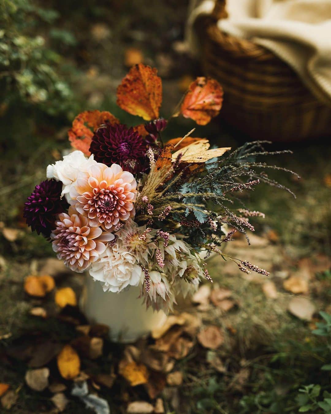 増田由希子さんのインスタグラム写真 - (増田由希子Instagram)「Autumn floral vibes🍂🍂🌸 #dahlia #dahlias #autumnflowers #autumncolors  ダリアと紅葉 #秋の花　#ダリア」11月3日 20時43分 - nonihana_
