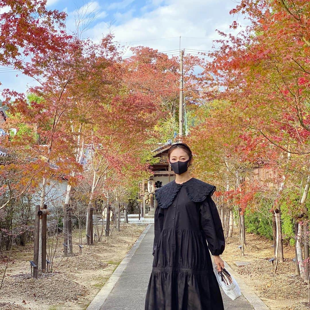 木本泉さんのインスタグラム写真 - (木本泉Instagram)「-﻿ 新しい朱印状を作りました🙏﻿ ﻿ ﻿ 仁和寺の這い松が立派すぎでした。﻿ 思わず下を覗きこんでしまうくらい立派✨﻿ ﻿ この歳になって、京都の良さをしみじみ感じます😌﻿ ﻿ 母と2人で行き当たりばったりで電車に乗って楽しい時間🍁﻿ ﻿ #京都#仁和寺#秋#紅葉#這い松」11月3日 21時14分 - izumikimoto