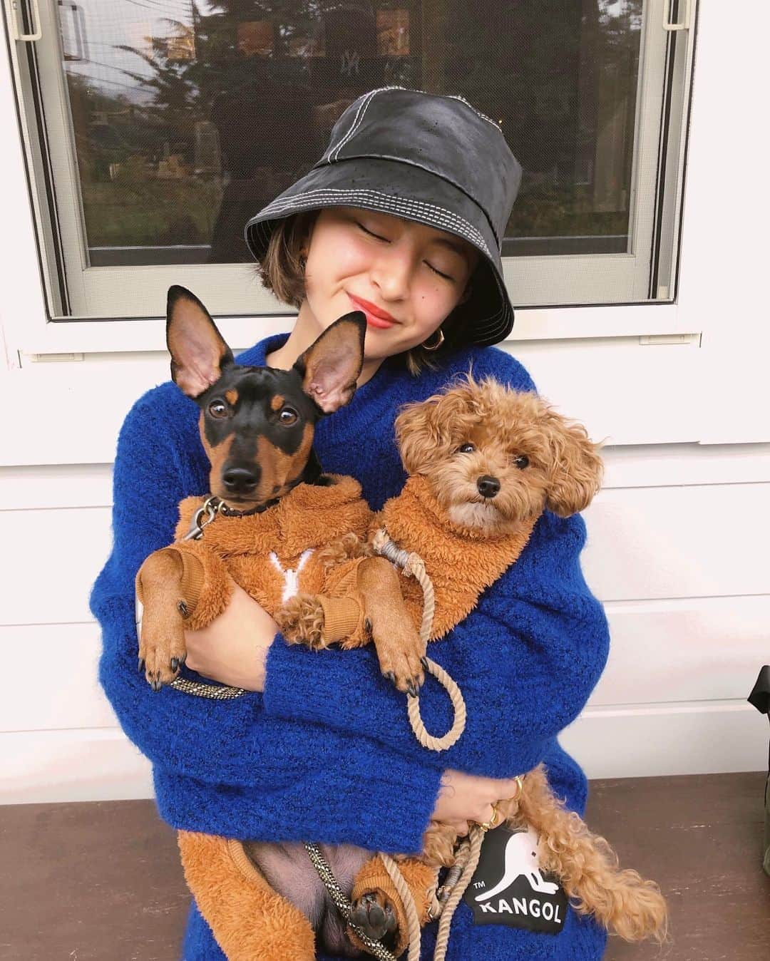 Julia Castroさんのインスタグラム写真 - (Julia CastroInstagram)「ノエル君の誕生日で山梨県に行きました💙 プレゼントはジャックとお揃いのモコモコお洋服🐶🐶 次はジャックのお誕生日がくるね 春はどこに行こうか🧡 . #Noelくん #Jackくん #maltipoo #minipin  #miniturepinscher  #dogstagram #dog #puppy #babyboy #family #fashion  #yamanashi #japan #cafe #toypoodle  #happybirthday  #誕生日 #旅行 #愛犬 #マルプー #ミニピン #ぬいぐるみ #家族 #まるでぬいぐるみ #犬スタグラム #兄弟 #大好き #愛おしい #幸せ」11月3日 21時37分 - julia.c.0209