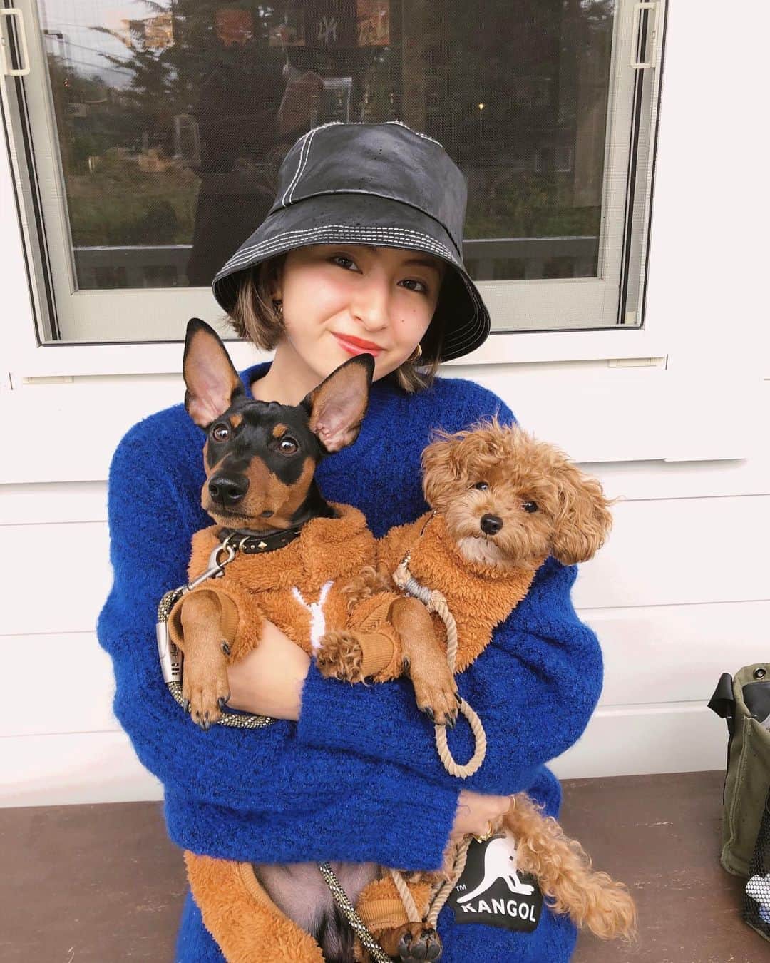 Julia Castroさんのインスタグラム写真 - (Julia CastroInstagram)「ノエル君の誕生日で山梨県に行きました💙 プレゼントはジャックとお揃いのモコモコお洋服🐶🐶 次はジャックのお誕生日がくるね 春はどこに行こうか🧡 . #Noelくん #Jackくん #maltipoo #minipin  #miniturepinscher  #dogstagram #dog #puppy #babyboy #family #fashion  #yamanashi #japan #cafe #toypoodle  #happybirthday  #誕生日 #旅行 #愛犬 #マルプー #ミニピン #ぬいぐるみ #家族 #まるでぬいぐるみ #犬スタグラム #兄弟 #大好き #愛おしい #幸せ」11月3日 21時37分 - julia.c.0209