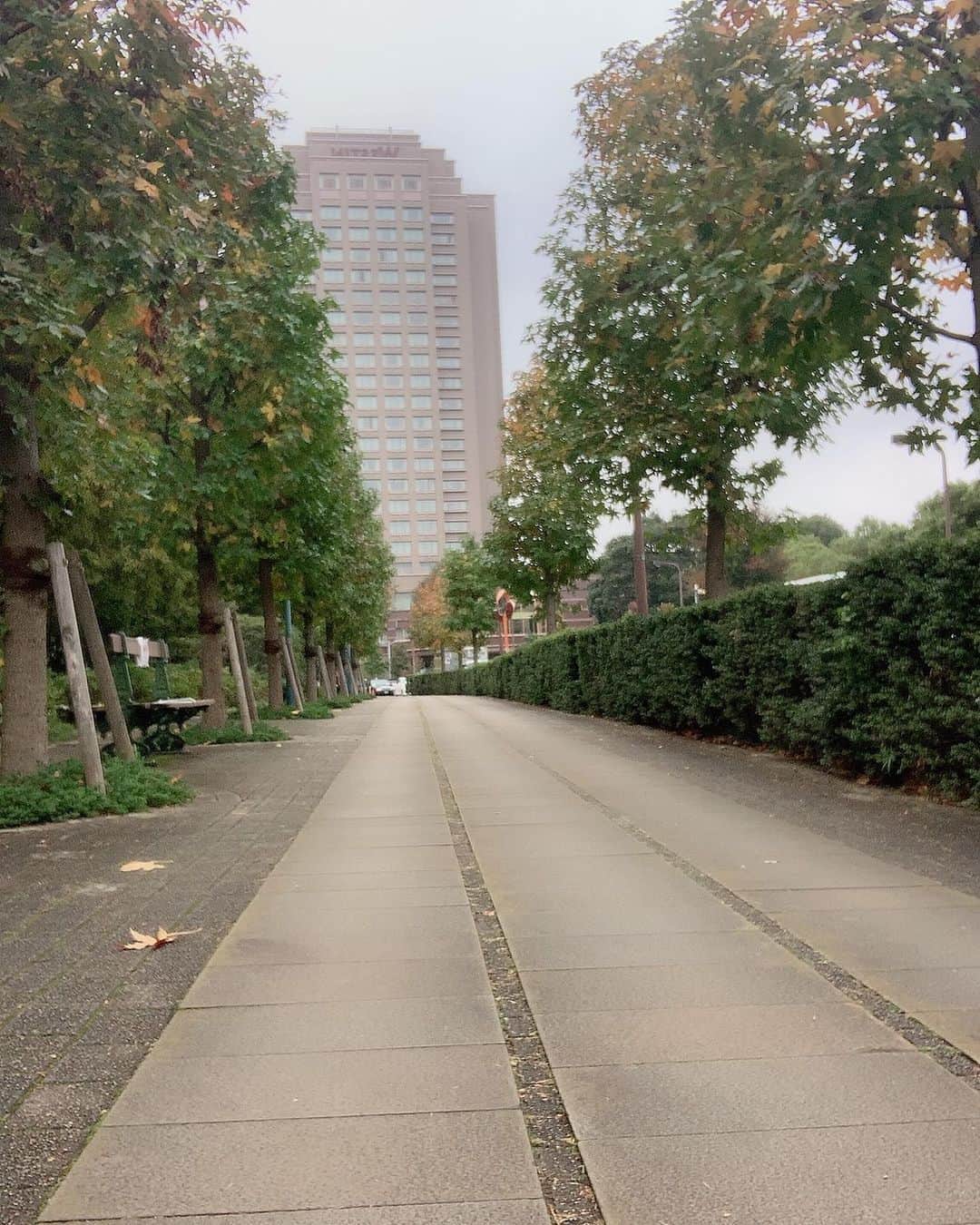 日下裕江さんのインスタグラム写真 - (日下裕江Instagram)「だんだんと 木々が色づいて来た🍂  なんて美しいんだろ✨  全部色づくよりも 緑と紅のコントラストが綺麗な この時期も大好き🍃🍁  ロルと散歩してると 四季の移り変わりがよく分かる♪ そんな散歩が楽しいし、 気持ち良いね✨  父は紅葉よりも 春の山々の色付きの方が綺麗だよと言ってた❀.*･ﾟ  東京にいると なかなか山へ行けないけど、 いつか春の山を見に行きたいな❀.*･ﾟ  #紅葉 #緑と紅 #緑紅葉 #コントラスト #自然のコントラスト #四季の移り変わり #秋 #もみじ #緑黄紅 #autumn #fall #maple」11月3日 21時40分 - hiroe___h