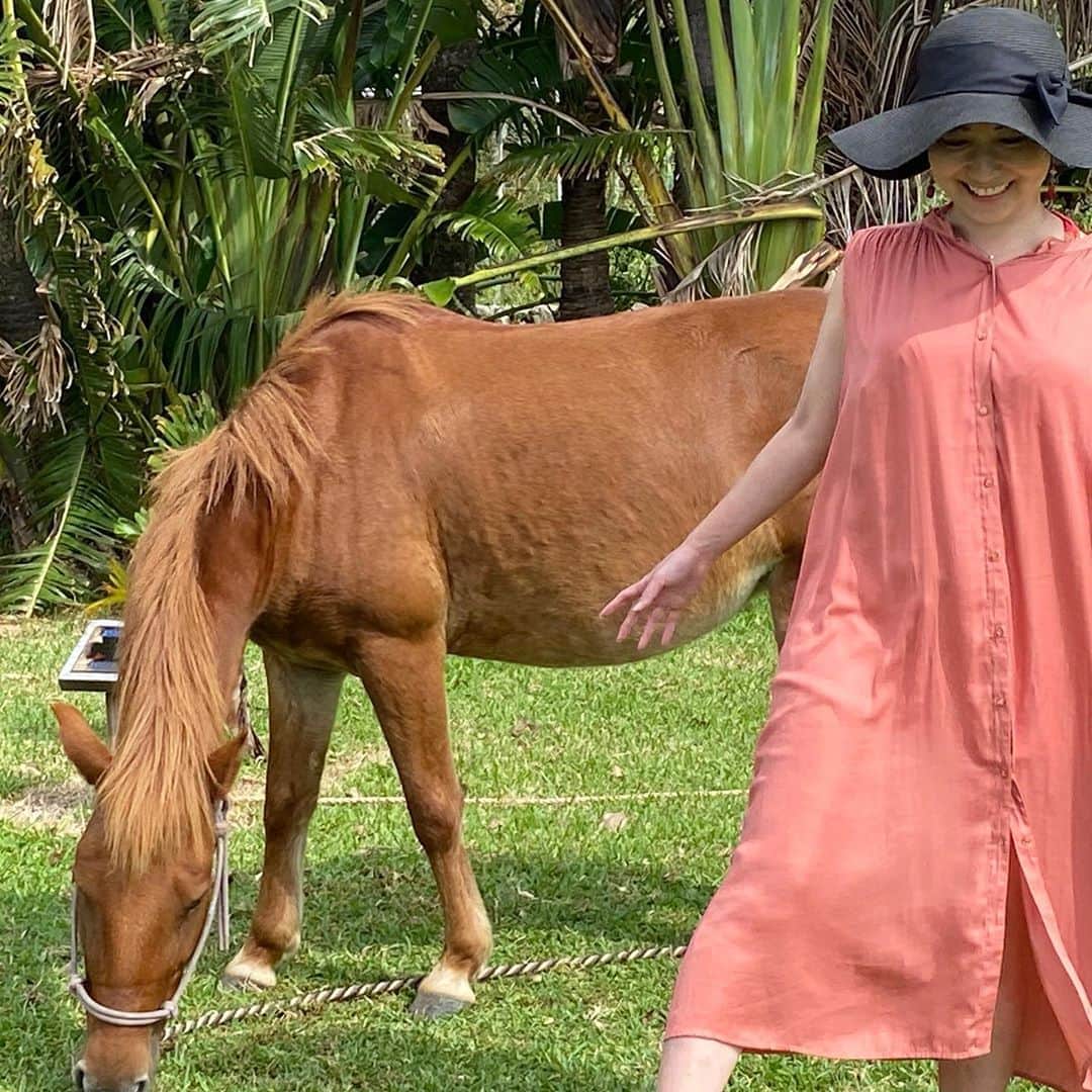 小林佳果のインスタグラム：「馬が好き。  またいつか、 乗馬もしたいなあ。」