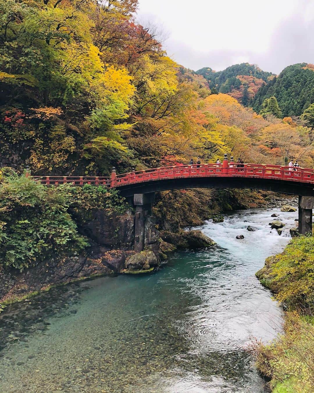 平田雄也さんのインスタグラム写真 - (平田雄也Instagram)「紅葉。。最高。。🍁  #紅葉　#秋　#良い　#素晴らしい」11月3日 22時16分 - yuyastagram620