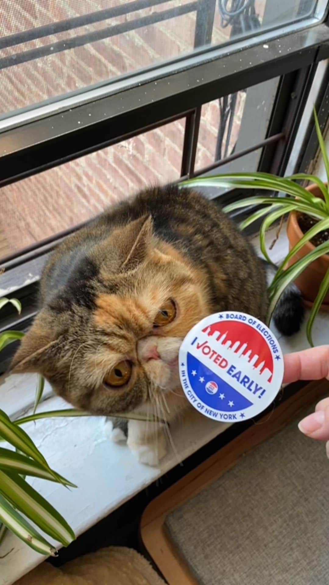 Tinaのインスタグラム：「Happy Election Day! Don’t throw away your shot to be heard, vote! 🗳🇺🇸」