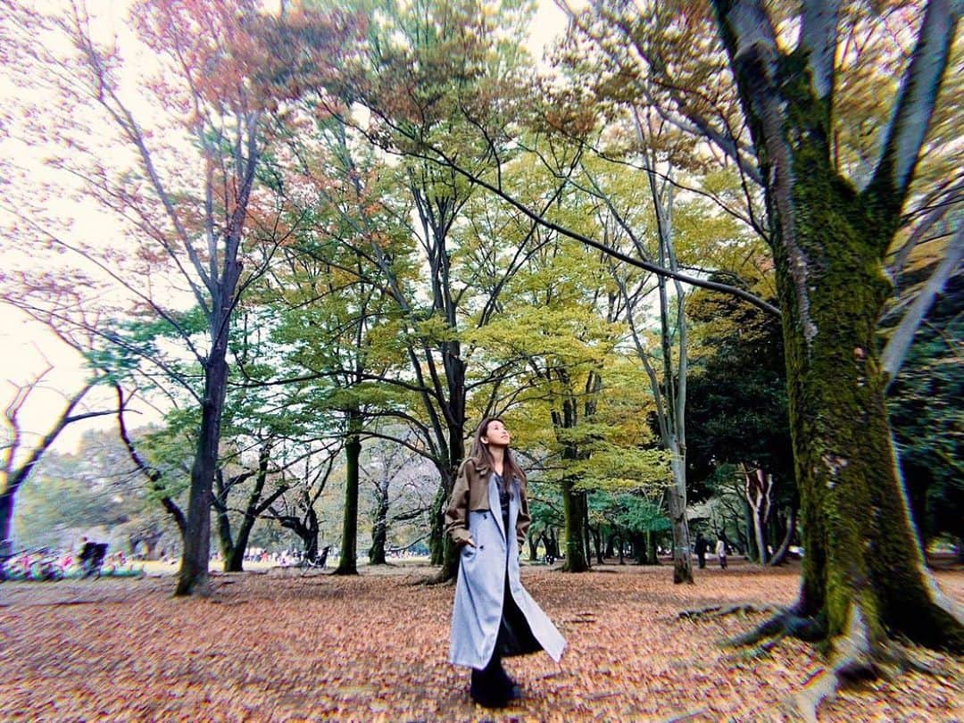 Beverlyさんのインスタグラム写真 - (BeverlyInstagram)「Hi autumn 🍂 you’re so beautiful 🧡💛 #autumn #autumnleaves」11月3日 22時56分 - beverly_official_