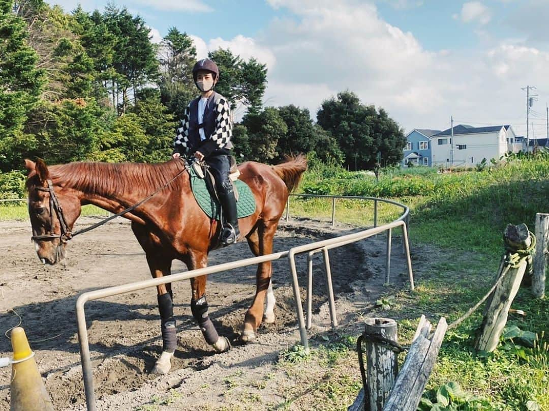 宮城舞さんのインスタグラム写真 - (宮城舞Instagram)「だいたい休日は なんとなくの行き先を 伝えられて 着いてから詳細を知るパターン多しw 我が家ではそれを サプライズと呼んでいる。  この日も 「馬に乗る🐎」ことだけ 伝えられて、 軽く乗るんだろうなー 息子にポニー乗せるんだろうなーと 軽い気持ちで行ったら まぁ本格的な乗馬場www  一から教えてもらえて 歩かせる 止まらせる 方向変える など体験させてもらい大人になっても 体験してない事なんて 山ほどあるなーと感じた日でしたww  パパありがとう🙆‍♀️  #宮城乗馬初体験 #だいたい休日サプライズ #ロマンチックとかじゃないやつw」11月3日 22時50分 - mai_miyagi