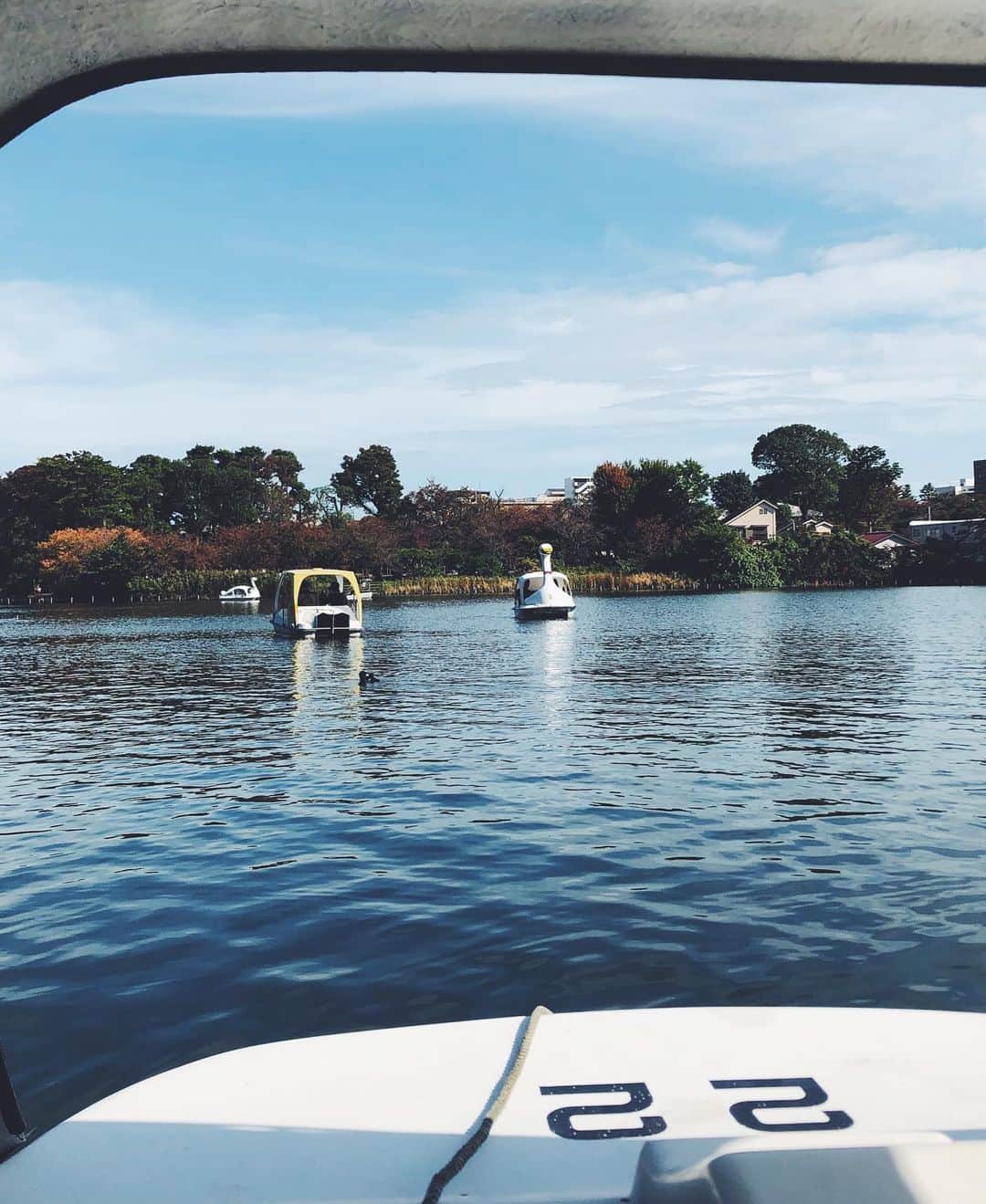 尾形沙耶香さんのインスタグラム写真 - (尾形沙耶香Instagram)「#boat 🦢」11月3日 22時50分 - sayakaogata