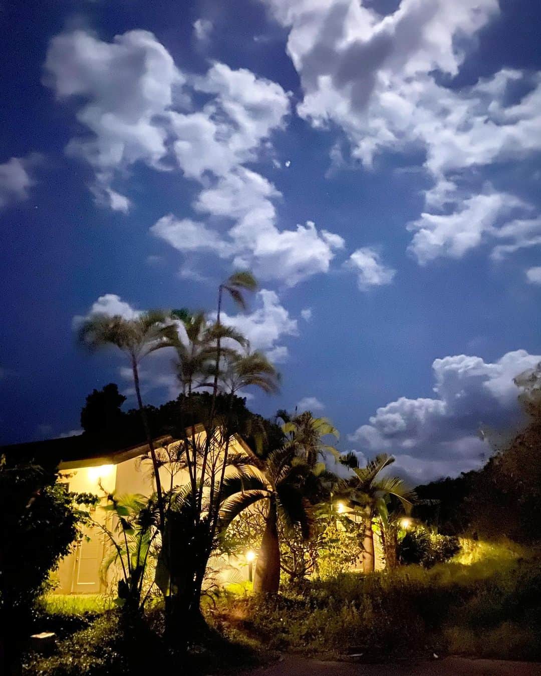 小林希さんのインスタグラム写真 - (小林希Instagram)「西表島の夜。 逢魔が時っていうけど 現実と非現実の狭間みたいな そんなことを感じる。 自然が強い島だからかな。  #離島#八重山諸島#沖縄県#pumehanaadventures #ジャングルトレッキング#西表島#島の夜#iriomoteisland」11月3日 22時52分 - nozokoneko
