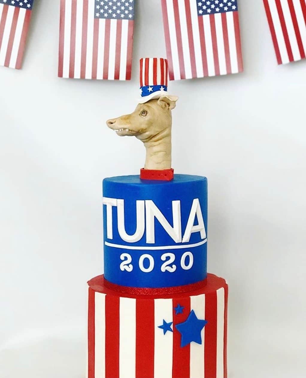 Tuna {breed:chiweenie} さんのインスタグラム写真 - (Tuna {breed:chiweenie} Instagram)「Earlier this year, we had planned to do a fun Dogmocracy campaign leading up to the election to raise money for animal rescue groups. Clearly we never got around to it. 😩 When I made that announcement in March, @pariscustomcakes made this epic mock cake (they also designed his birthday cake in July). I’ve been waiting for the perfect day to post about it, and what better day than Election Day because it falls on #tunartuesdays. Please don’t take this post out of context and please no political bashing. This is intended to bring you joy and laughter, and to encourage you to #VOTE!」11月3日 23時21分 - tunameltsmyheart