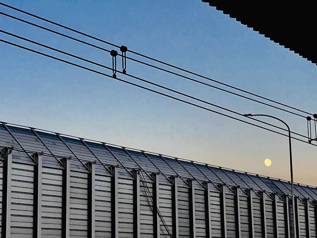 にゃんぞぬデシのインスタグラム：「檻の外に月が浮かんでる。 (電車のホームです。電車からしたら檻。) ・ ・ ・ #film  #photooftheday #photography  #japan #sky #moon #train」