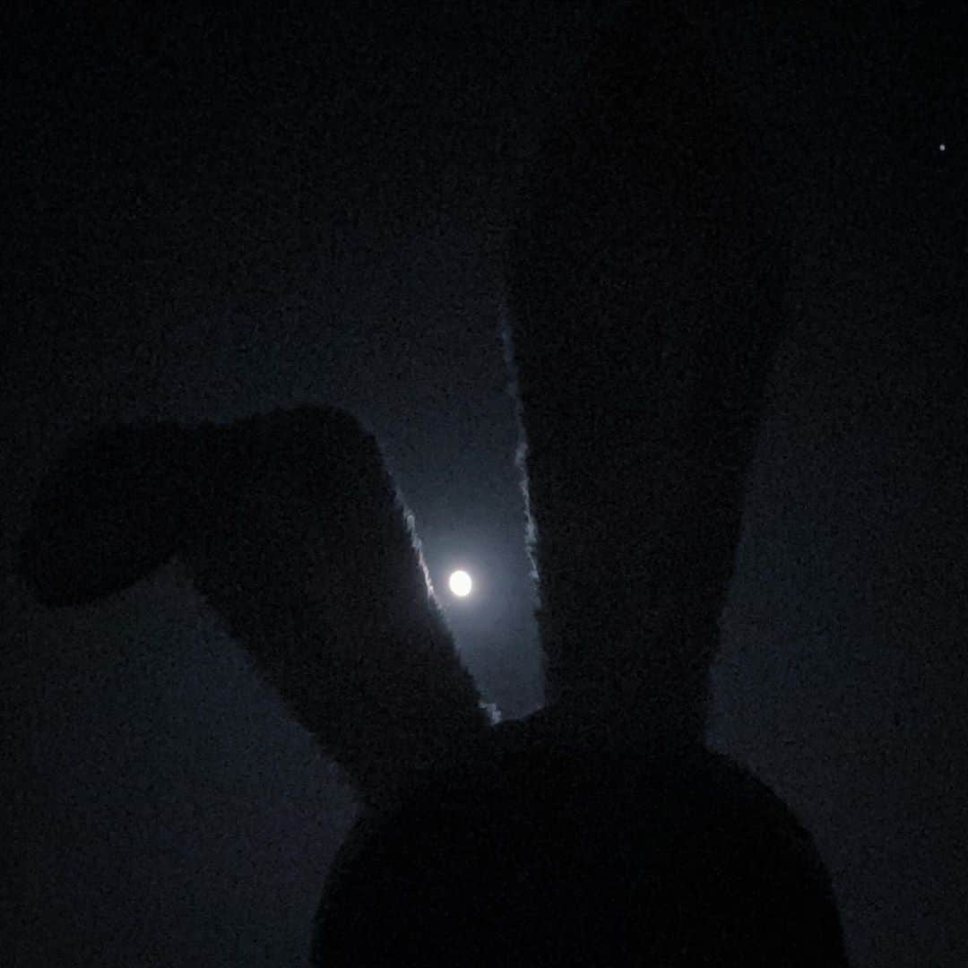 のインスタグラム：「#アーカイブ」