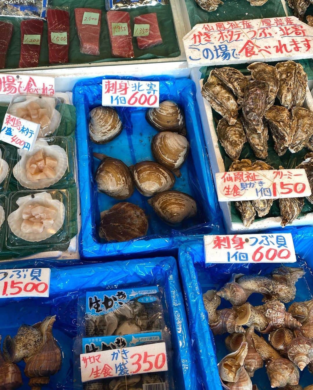 齊藤澪菜さんのインスタグラム写真 - (齊藤澪菜Instagram)「宿泊したAirbnbが二条市場の近くだったので、連日大好物の生牡蠣を150円で、たっっくさん食べれた🥺🦪 雲丹もマグロも海老も泣きそうになるくらい美味しかった、、🥺漁師に嫁入りも検討します。  #幸せすぎるれなぴは目を開けられてない ㅤ #北海道 #北海道旅行 #二条市場 #海鮮丼」11月4日 0時55分 - rena62s