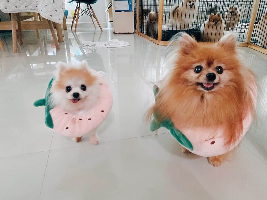 r_oseのインスタグラム：「Matchie matchie 🍓🍓〰️」