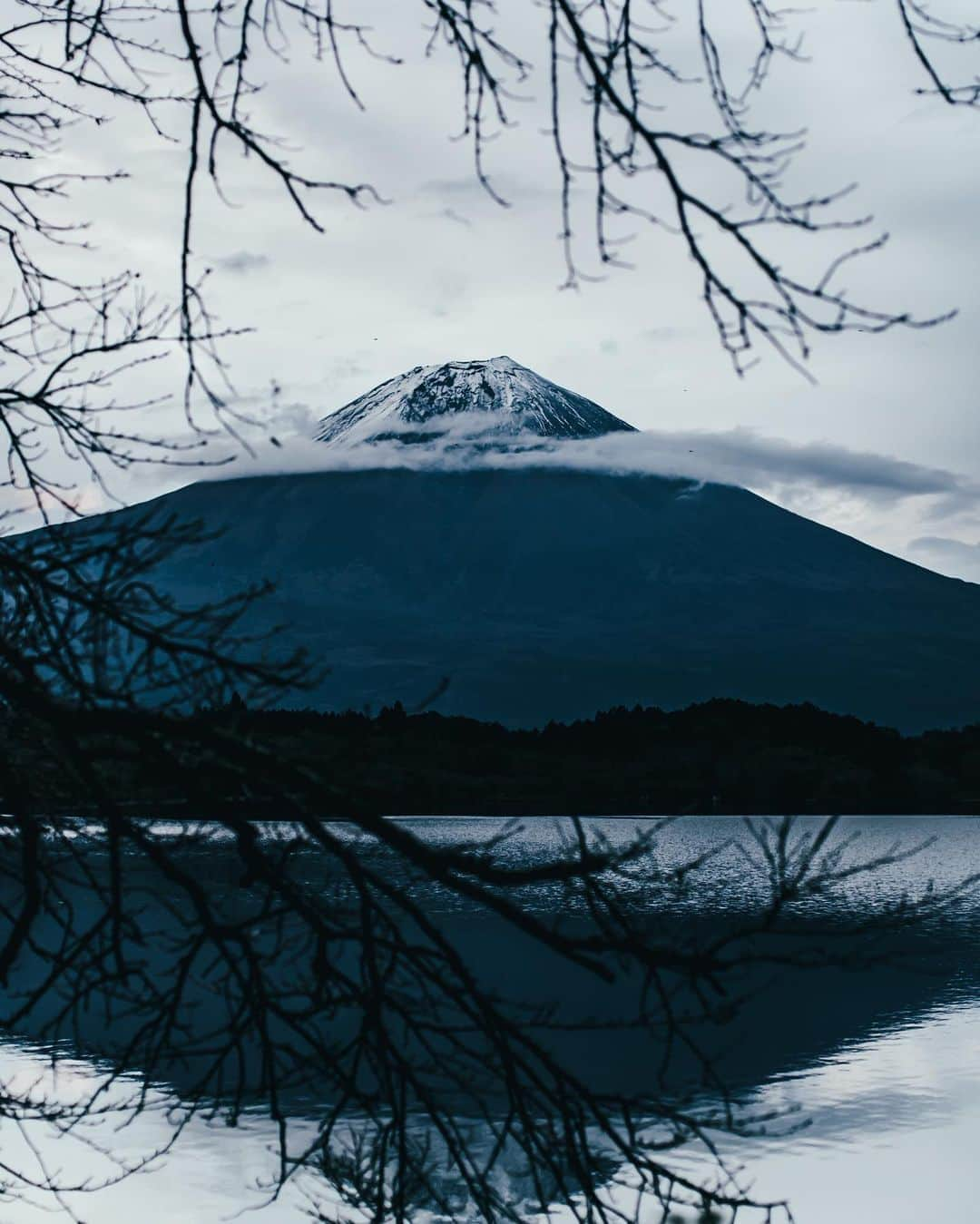 山中海輝さんのインスタグラム写真 - (山中海輝Instagram)「「なんでもないことは流行に従う。 重大なことは道徳に従う。 芸術のことは自分に従う」」11月4日 1時16分 - kaikiyamanaka