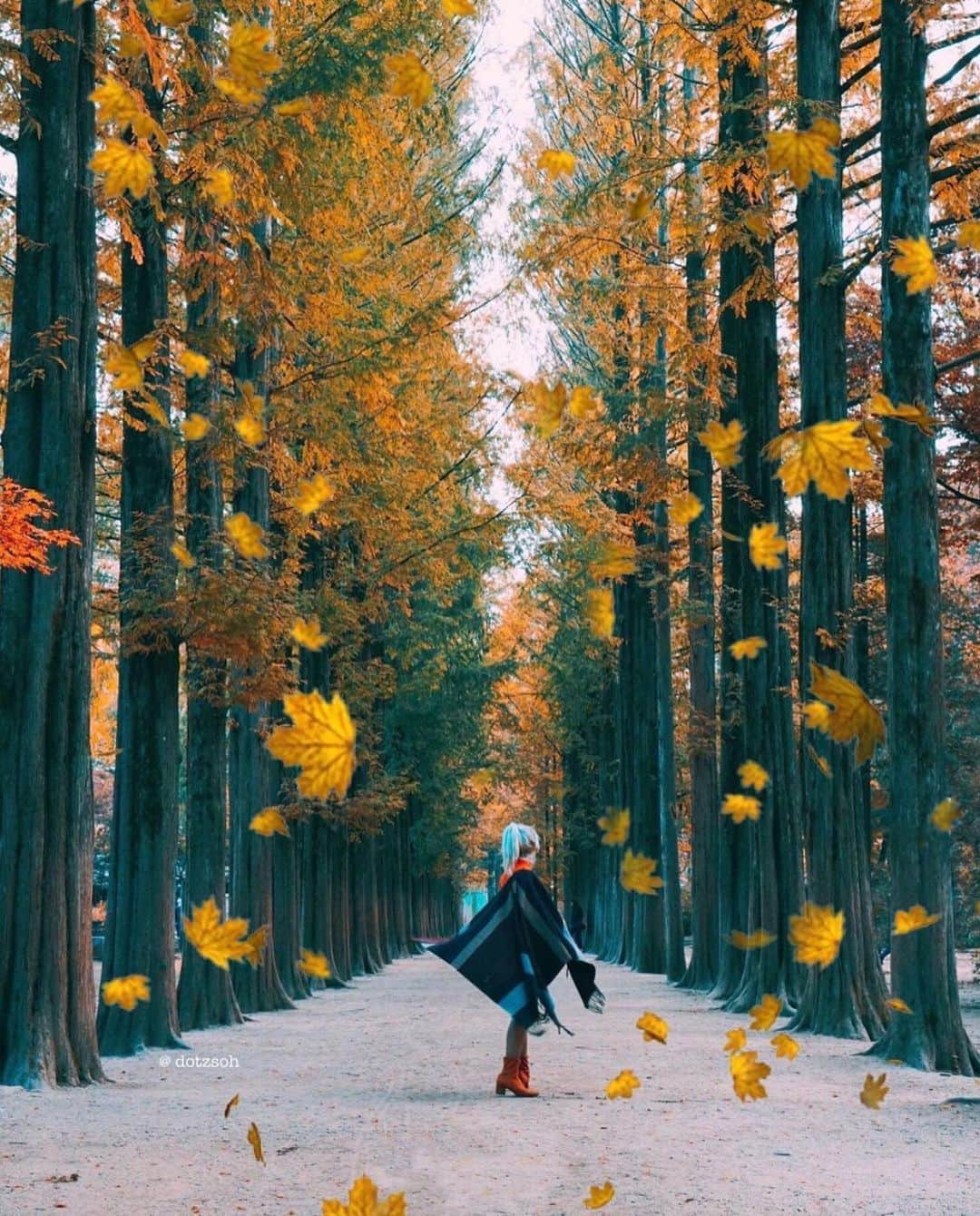 Wonderful Placesさんのインスタグラム写真 - (Wonderful PlacesInstagram)「Gorgeous fall in Korea ✨😍😍🍁🍁✨ . Pictures by ✨✨@dotzsoh✨✨ #wonderful_places for a feature ❤️🍁」11月4日 1時25分 - wonderful_places