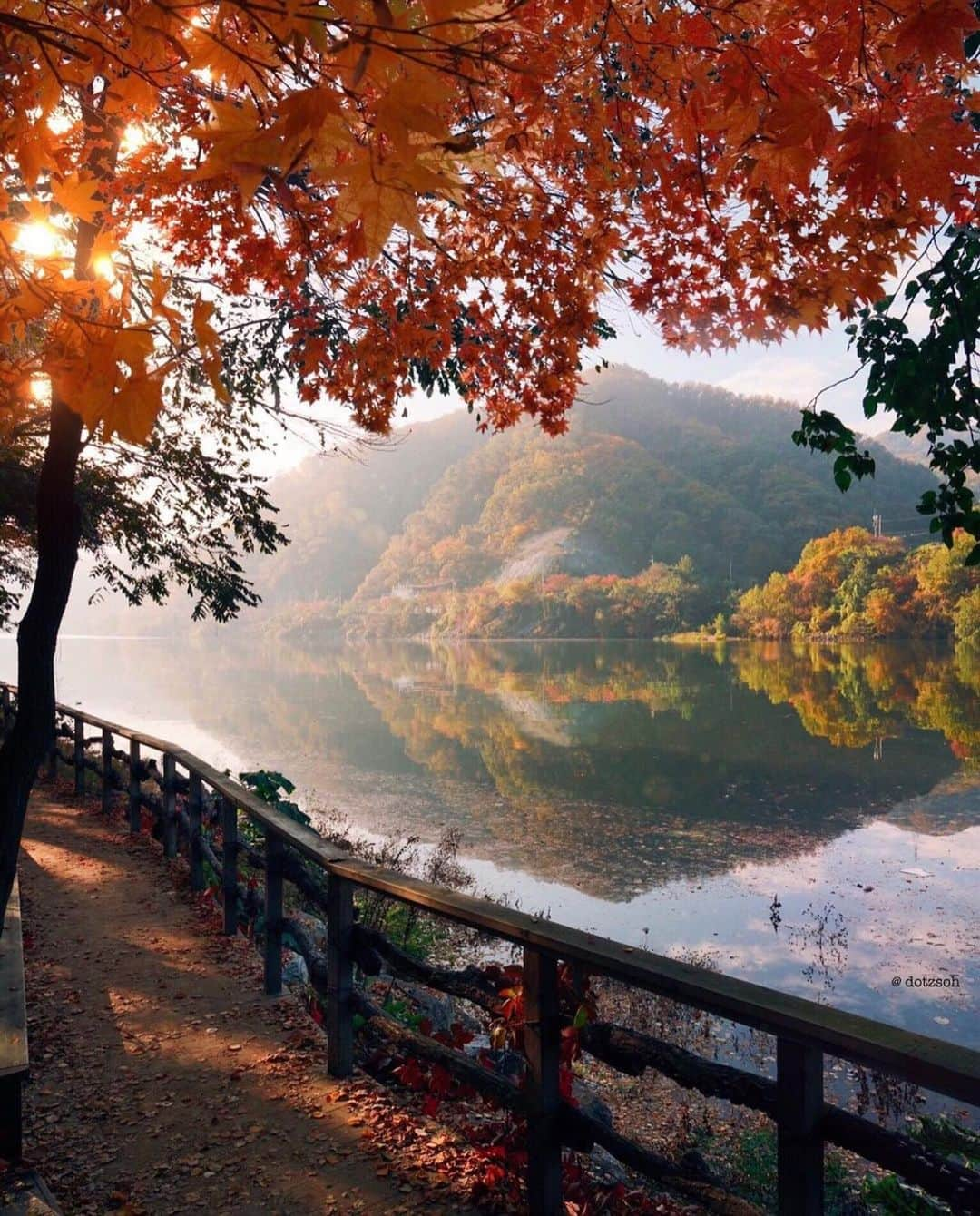 Wonderful Placesさんのインスタグラム写真 - (Wonderful PlacesInstagram)「Gorgeous fall in Korea ✨😍😍🍁🍁✨ . Pictures by ✨✨@dotzsoh✨✨ #wonderful_places for a feature ❤️🍁」11月4日 1時25分 - wonderful_places