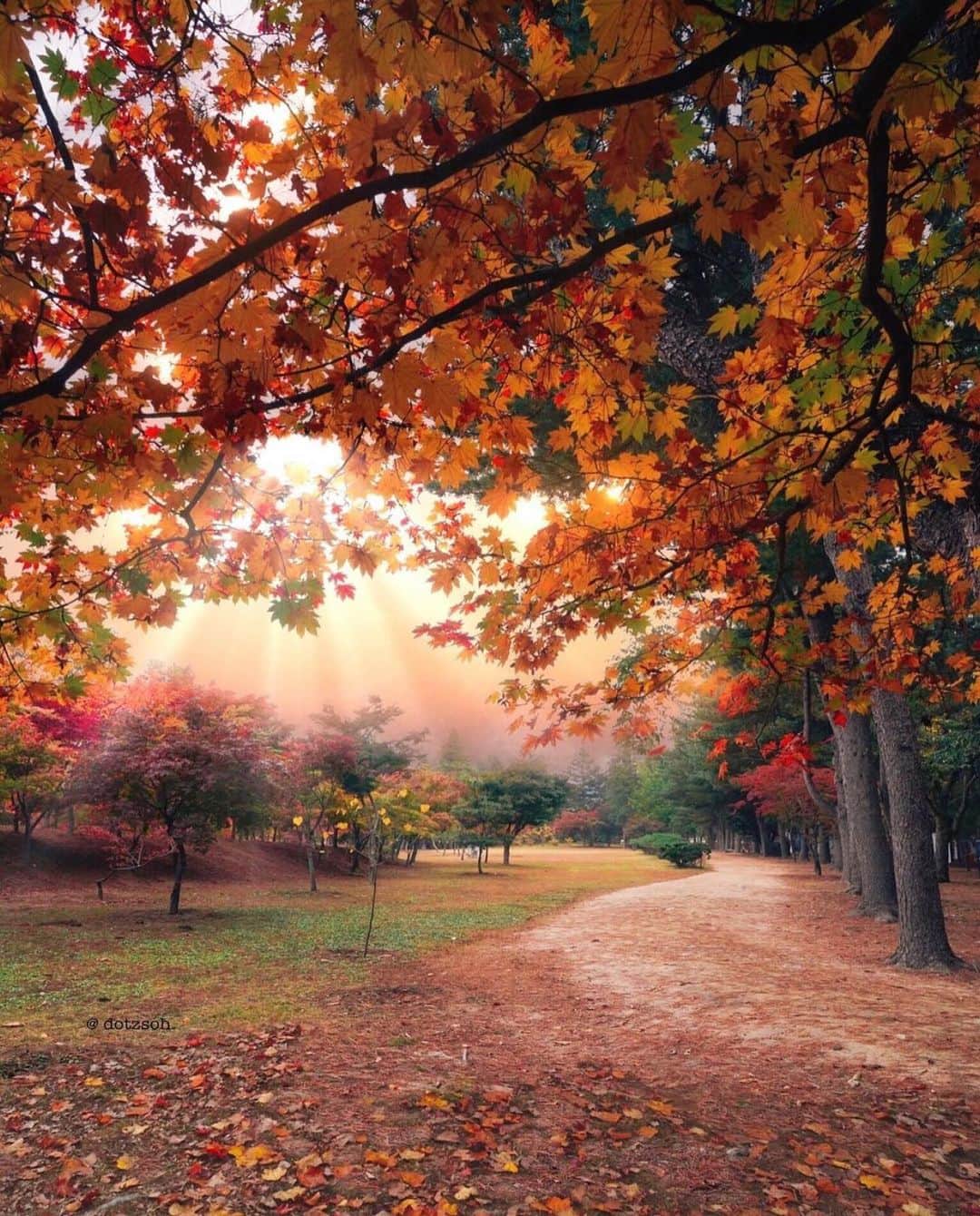 Wonderful Placesさんのインスタグラム写真 - (Wonderful PlacesInstagram)「Gorgeous fall in Korea ✨😍😍🍁🍁✨ . Pictures by ✨✨@dotzsoh✨✨ #wonderful_places for a feature ❤️🍁」11月4日 1時25分 - wonderful_places