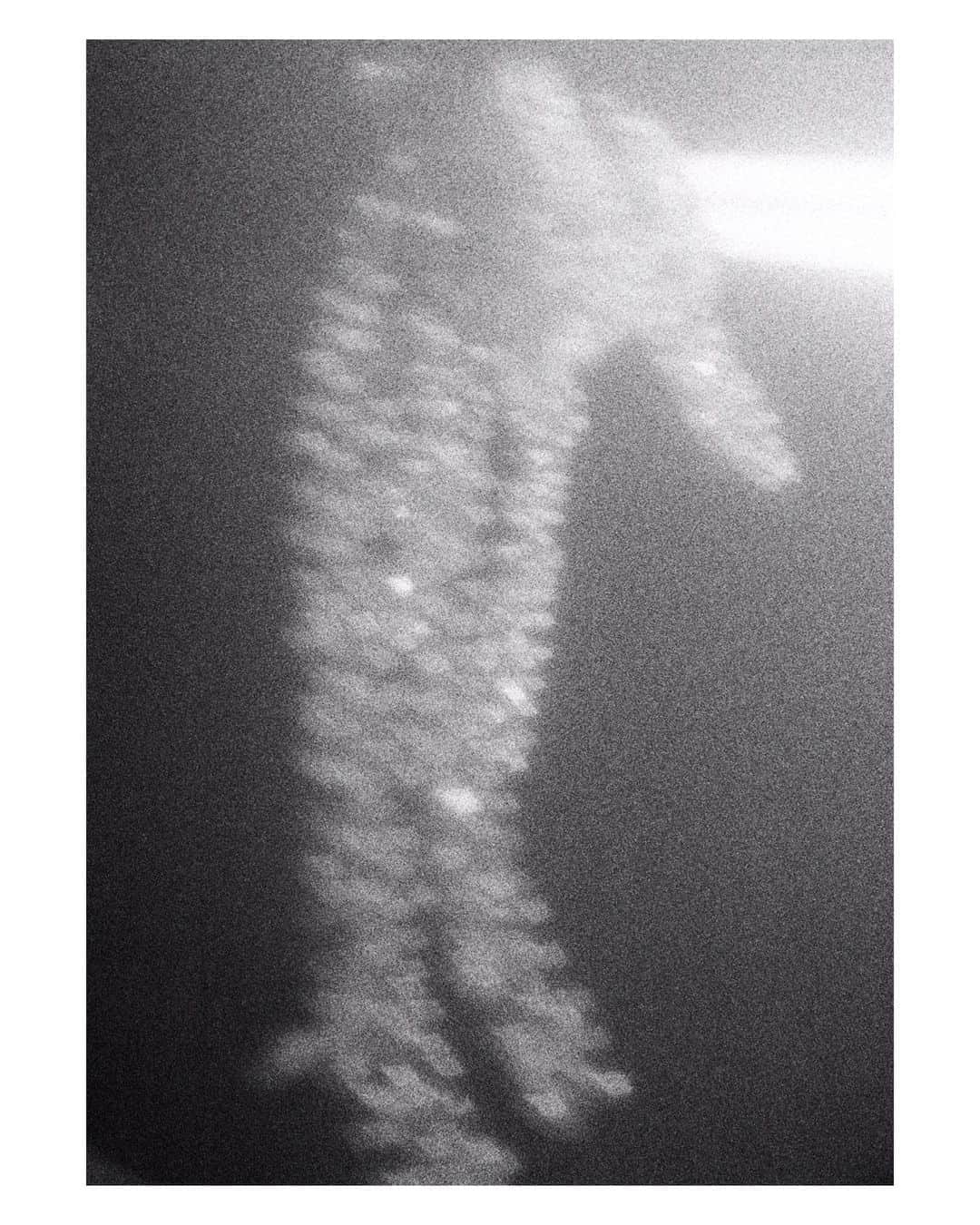 青葉市子のグルメインスタ