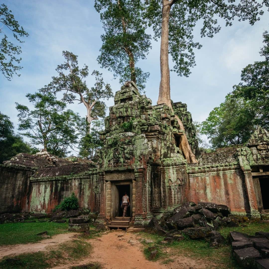 National Geographic Travelさんのインスタグラム写真 - (National Geographic TravelInstagram)「Photo by @junmichaelpark / So-called strangler trees dig their roots into the ruins of Angkor Wat, Cambodia, the largest ancient temple site in the world. For more photos and stories, follow @junmichaelpark.」11月4日 12時34分 - natgeotravel