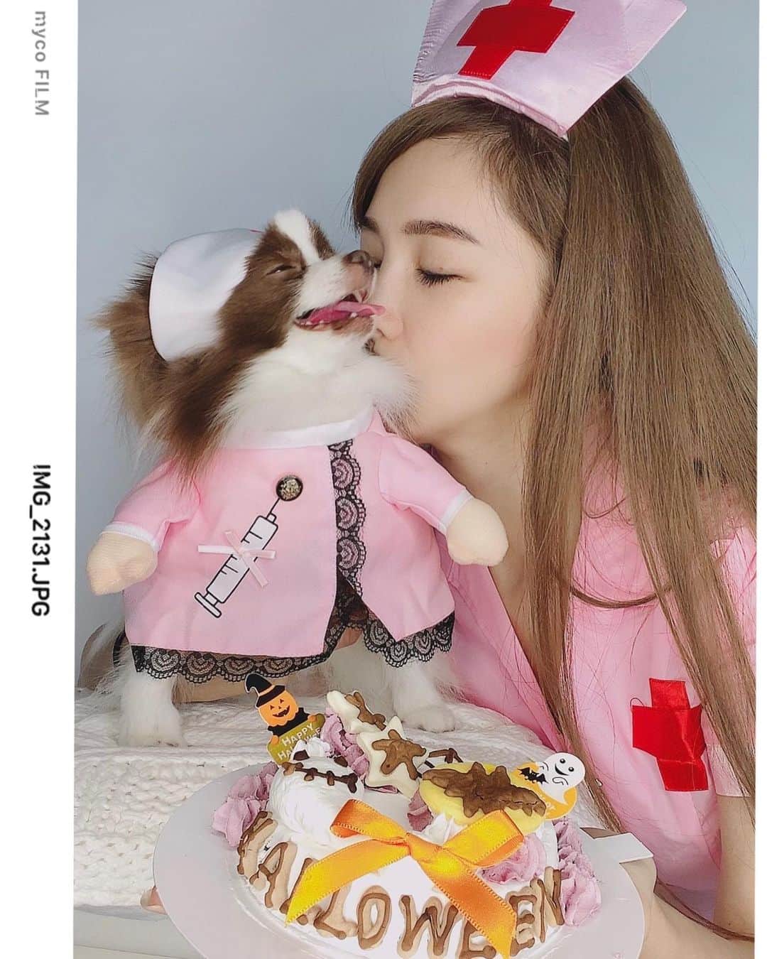 mycoのインスタグラム：「今年はりりとピンクナースに変身💉﻿ ぐふふ。こんな可愛い犬ナースがいたら﻿ 病院も楽しいですね💕ぐふ。﻿ ﻿ りりちゃんには愛犬用無添加の﻿ 馬肉ミンチを寒天で固めたケーキを🎂﻿ 豆乳のホイップで可愛いですね🐶﻿ ﻿  #halloween #happyhalloween #개케이크 #halloweendog #ハロウィン #わんこはろうぃん #馬肉ケーキ #horsemeetcake #horsemeet #halloweencake #할로윈﻿ #dogscake #ワンコケーキ #犬ケーキ #tokyo #dogstagram」