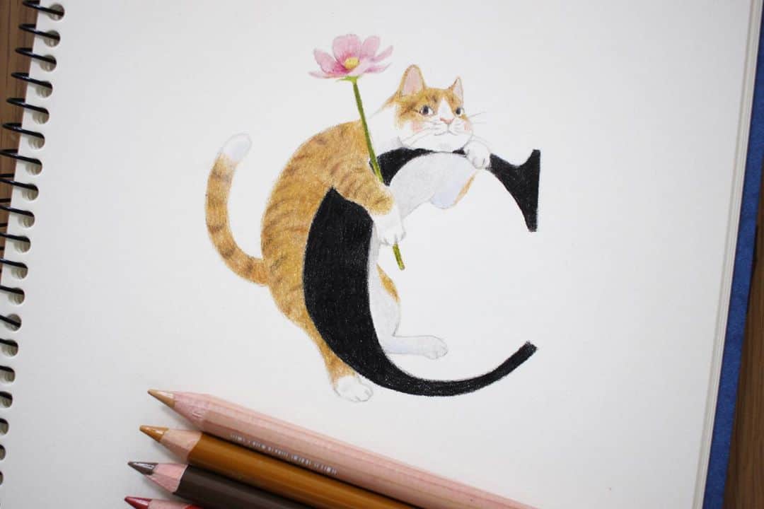 Tomoko Shintaniのインスタグラム：「Letters “C” 🐈 . みゃー . #letters #cat #cosmos #holbeinartistscoloredpencil #karismacolorpencils #carandacheluminance」