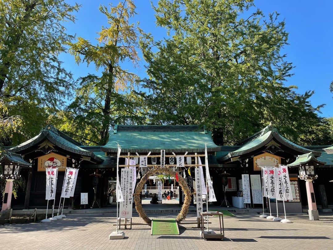 アヤメのインスタグラム：「What a blue sky! 神頼みしたい日もある🙏🏼⛩ #大宮八幡宮 #東京のへそ #753」