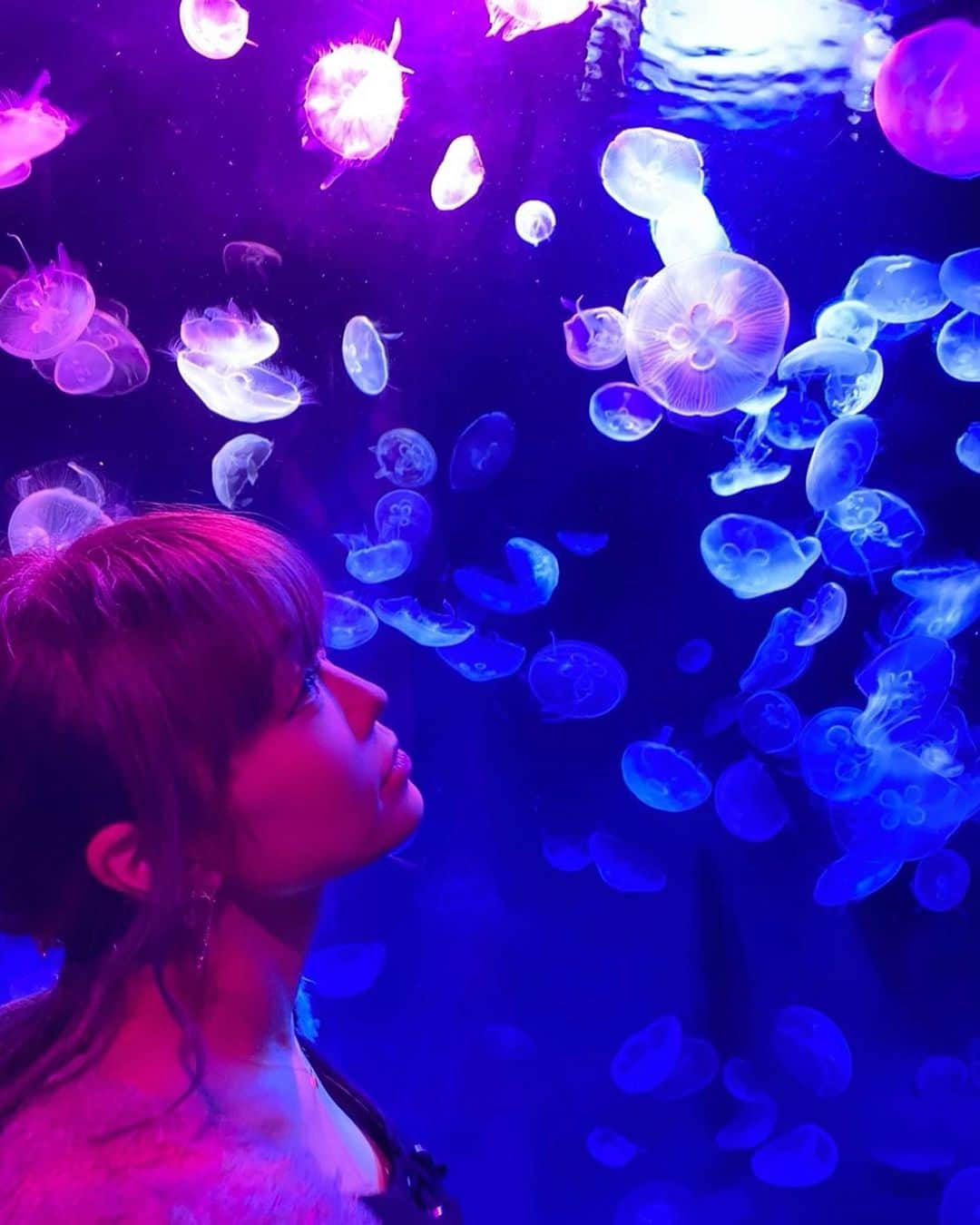 SIORIさんのインスタグラム写真 - (SIORIInstagram)「クラゲみてきたよおおおお🐠 水族館すごく久しぶりでした🌟 . . 池袋自体大学生のころとか、前の仕事の時はよく行ってた場所なのに 久しぶりすぎて全然わからなかった😂 . . 今回は夜の部で 性いっぱい展ていうのを開催してて 生物の不思議をたくさん観察してきましたwww 子供には刺激強めの水族館🐠🐠🐠🔥 . . . 珍しい組み合わせのメンバーで行ったけどなかなか楽しくて充実した1日でした💋 . . . . .  . . #エンタメ活動を止めない #バーレスク東京 #スーパーバーレスク #partyon #オージェネの逆襲 #OGCA #性感内衣 #蜷川実花 #扎心了 #좋아요 #일본 #photooftheday #水族館 #クラゲ水族館 #サンシャイン水族館 #六本木 #burlesque  #ootd #swag #tokyo #performance #dancer」11月4日 13時19分 - siori_burlesque