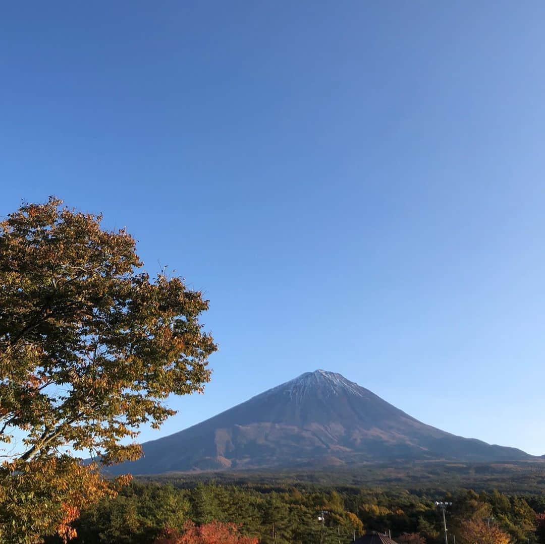 小野真弓さんのインスタグラム写真 - (小野真弓Instagram)「おはようございます😊 早起きな毎日🌝🌞撮影終わりに、 とよた真帆さんと寄り道😍✨ ほうとうを、ご一緒させて頂きました😋🍲✨ 冷えた身体がぽっかぽか♨️ #とよた真帆　さん #女優#京友禅絵師#ミニチュアテーマパーク#スモールワールズ#動物保護活動エリア事務局長#愛犬家#愛猫家#動物保護活動#お洒落#美し過ぎる#くぎづけ #ほうとう#寄り道#山梨グルメ#富士山 #食事は横並びで#前を向いて#頂きます とよたさんとは、 初めてご一緒させて頂きますが、、ドラマなどは勿論、 Instagramをずっと拝見していたので、勝手にずっと前から近しい大先輩のような気分になり、、（←インスタmagic😂） 思わず、話しかけまくってしまいました😂 気さくに接してくださる優しい真帆さん🥺😭💕 多彩な活動をされていて、お話をさせて頂くと、わくわくが止まりません😲✨*\(^o^)/* 引き続き、頑張ります〜🎥 今日も良い一日を🌈」11月4日 4時53分 - hanaharuaroi