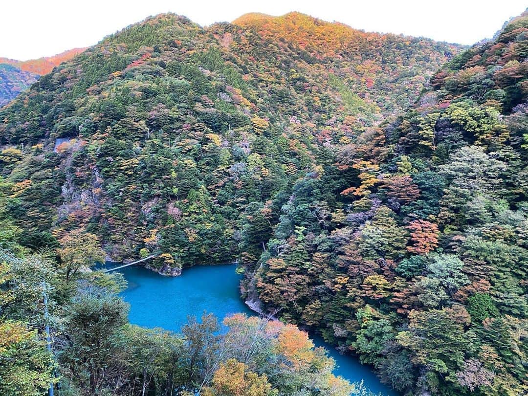 のインスタグラム：「写真でも言葉でも表しきれない！  肌で感じる風や太陽の光や  見渡す限りの色鮮やかな山々と  美しい色の水を、、、  美しいという言葉では  終わらせたく無い。  見下ろした景色を今度は見上げたい  今日も感情も高揚する1日を🍁  #紅葉　#日本　#静岡　#美しい景色　#お裾分け」