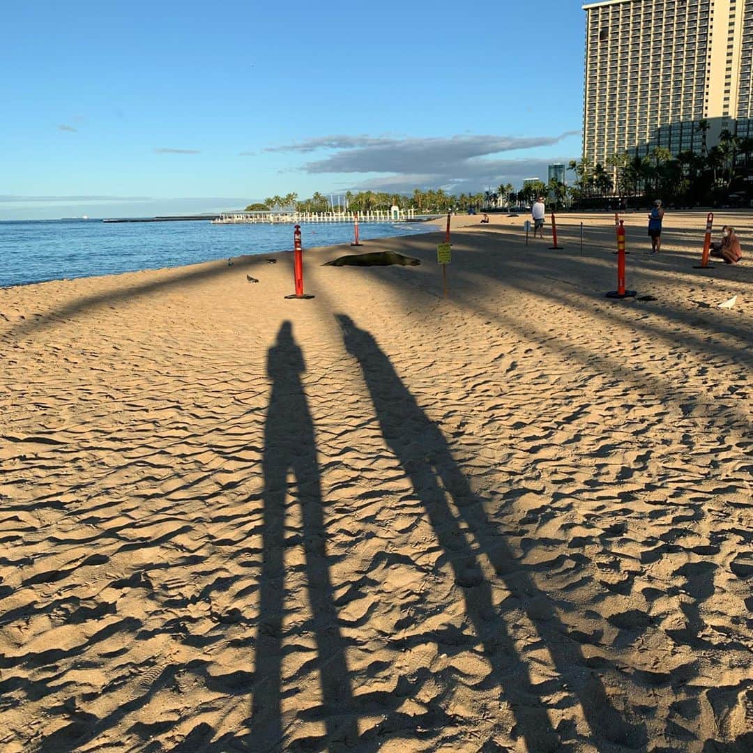 飯島寛子さんのインスタグラム写真 - (飯島寛子Instagram)「Election Day!! Still quiet morning from Waikiki. 可愛いらしいモンクシールに逢えました。   #election2020 #waikiki #ハワイ暮らし」11月4日 5時56分 - hirokoiijima