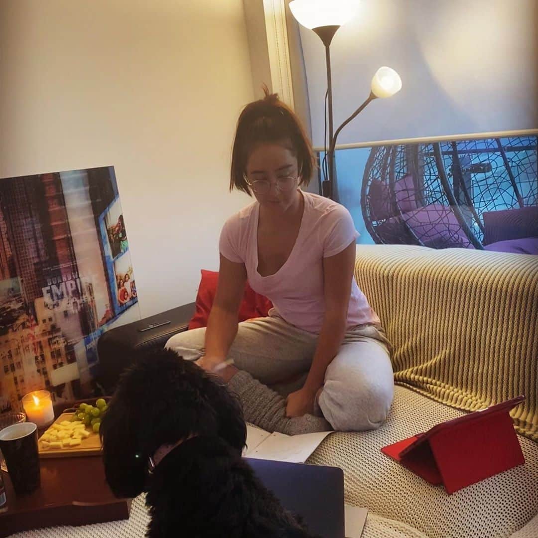 ケイトリン・オズモンドのインスタグラム：「When you have an assignment in school based on the US elections, so you get set up and comfy for the evening.  • American friends.... did you vote?」