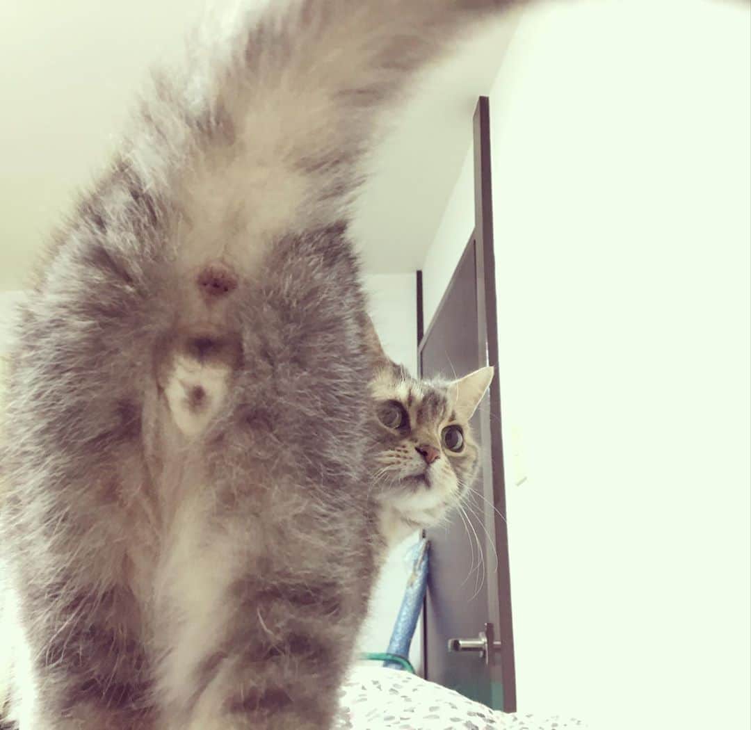 なごむのインスタグラム