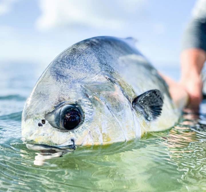 Costa Sunglassesのインスタグラム：「Back to the drink. 📷: @brandoncyrkw #SeeWhatsOutThere #BornOnTheWater」