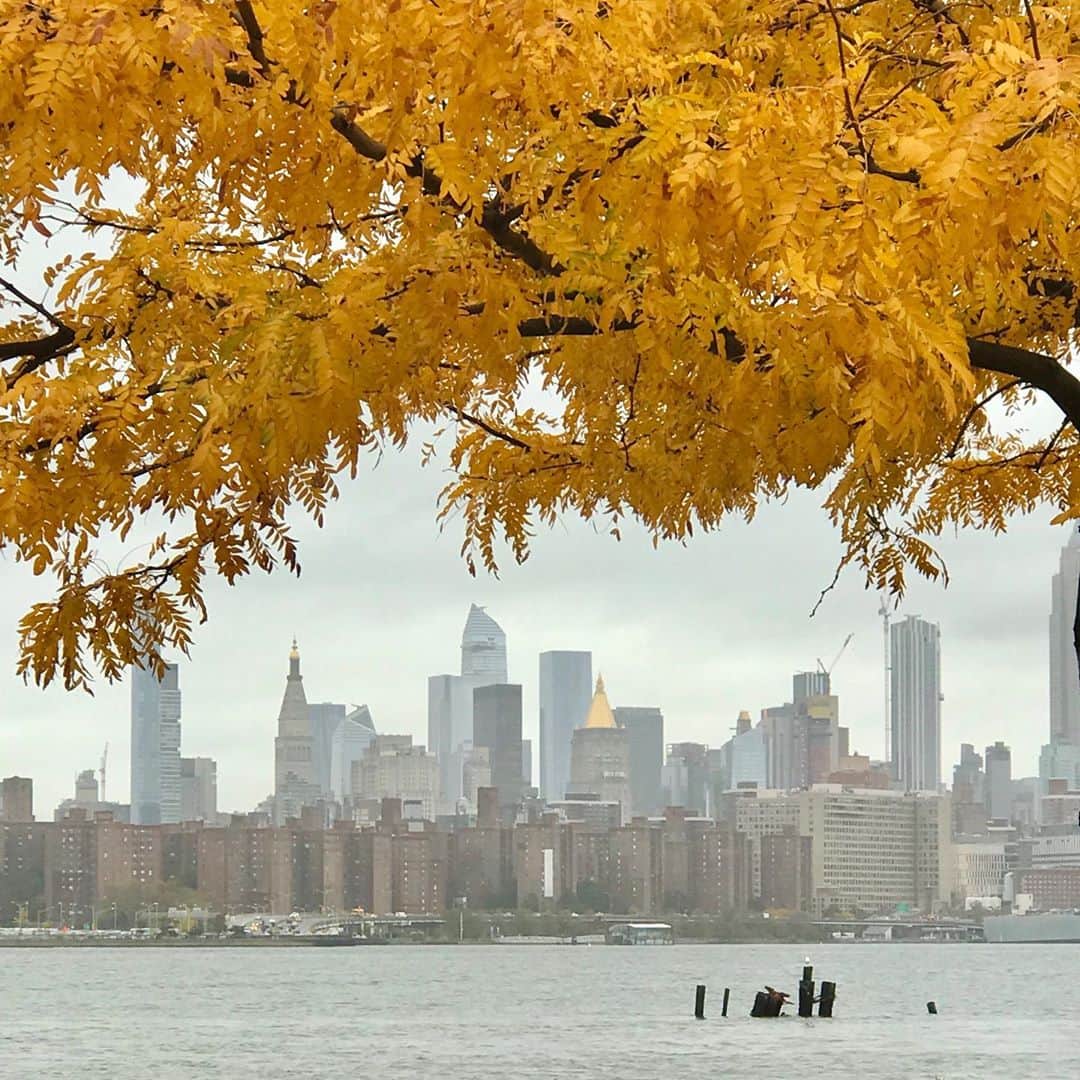 忽那汐里さんのインスタグラム写真 - (忽那汐里Instagram)「2年連続この時期はニューヨークに。撮影始まってもう1年も経っちゃったなんて、ほんとに早いです。ニューヨークの紅葉の季節とっても綺麗。 今日アメリカは大事な選挙ですね。朝からずっとニュースをつけているけど、こんな時期にアメリカにいることも初めてですし貴重な経験になりそうです。こっちも急激に寒くなってきたけど、みなさんも風邪を引きませんように。」11月4日 7時50分 - shiolikutsuna