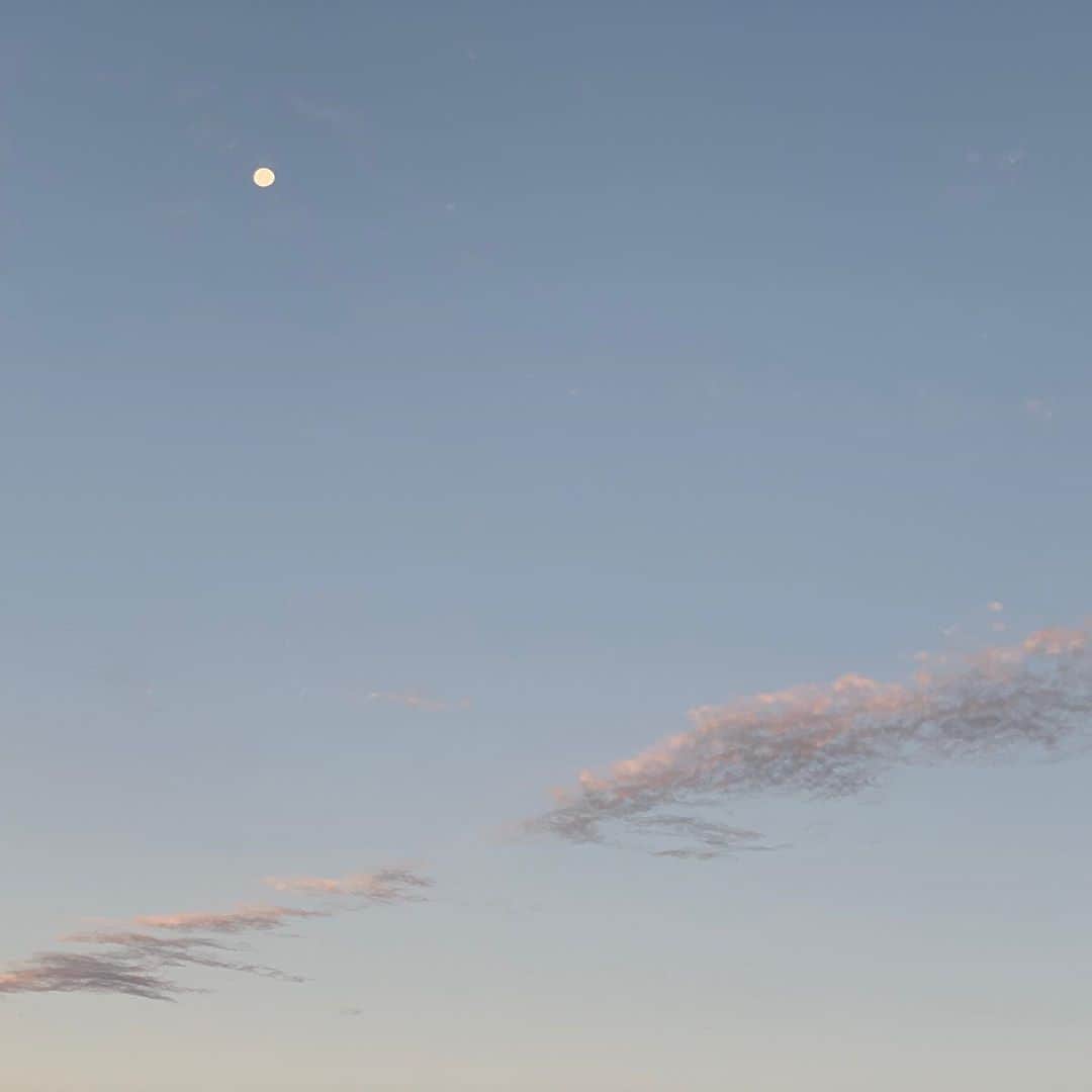 石田ゆり子さんのインスタグラム写真 - (石田ゆり子Instagram)「今朝の空。 透明な水色に 薄いレースのような ピンクの雲。 そしてお月様。 アメリカ大統領選挙の行方を じっと見守っています。 #アメリカ大統領選挙2020」11月4日 8時45分 - yuriyuri1003