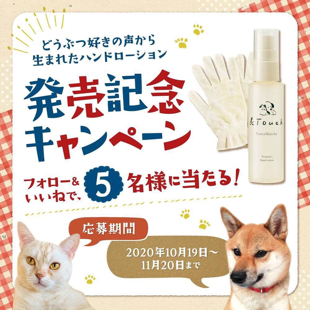 santamarche サンタマルシェのインスタグラム