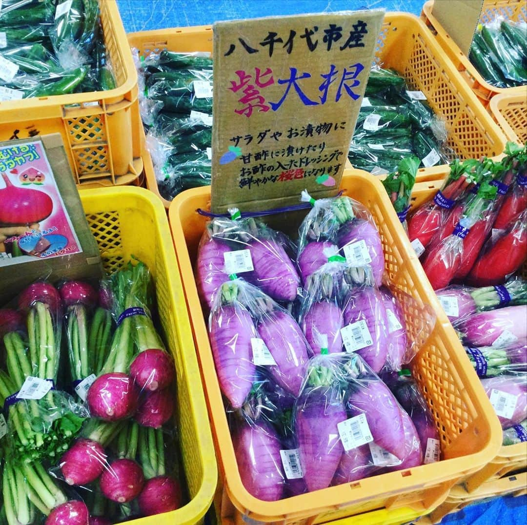 道の駅やちよさんのインスタグラム写真 - (道の駅やちよInstagram)「おはようございます！ カラフルな大根、カブ 沢山入荷してきています‼︎ 食卓が華やかになる事間違いなしですよ✨  #道の駅 #農産物直売所 #道の駅やちよ#紫大根#カブ#もものすけ #新鮮 #新鮮野菜#八千代市#買い物」11月4日 9時53分 - michinoeki_yachiyo090720